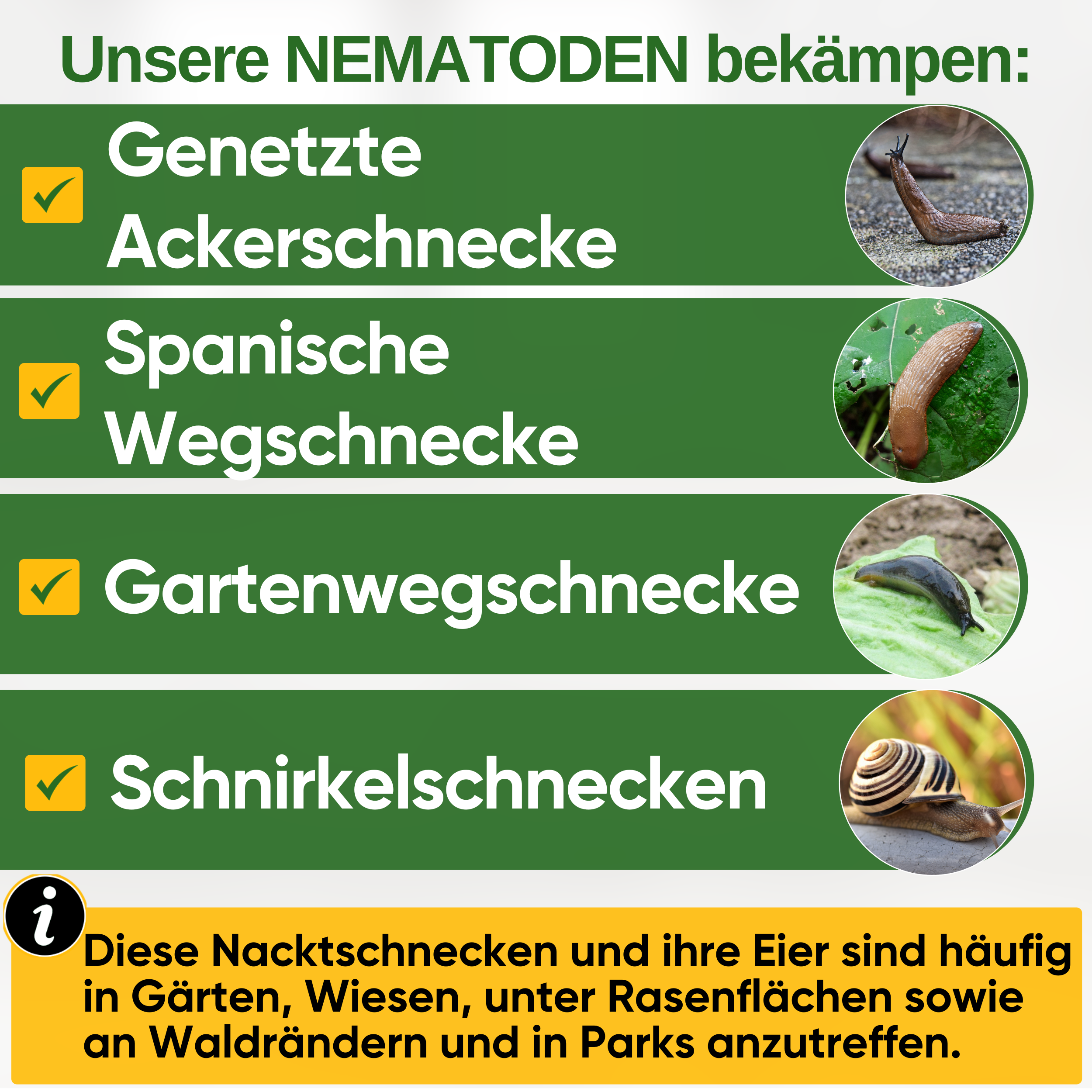 Nematoden gegen alle Arten von Schnecken