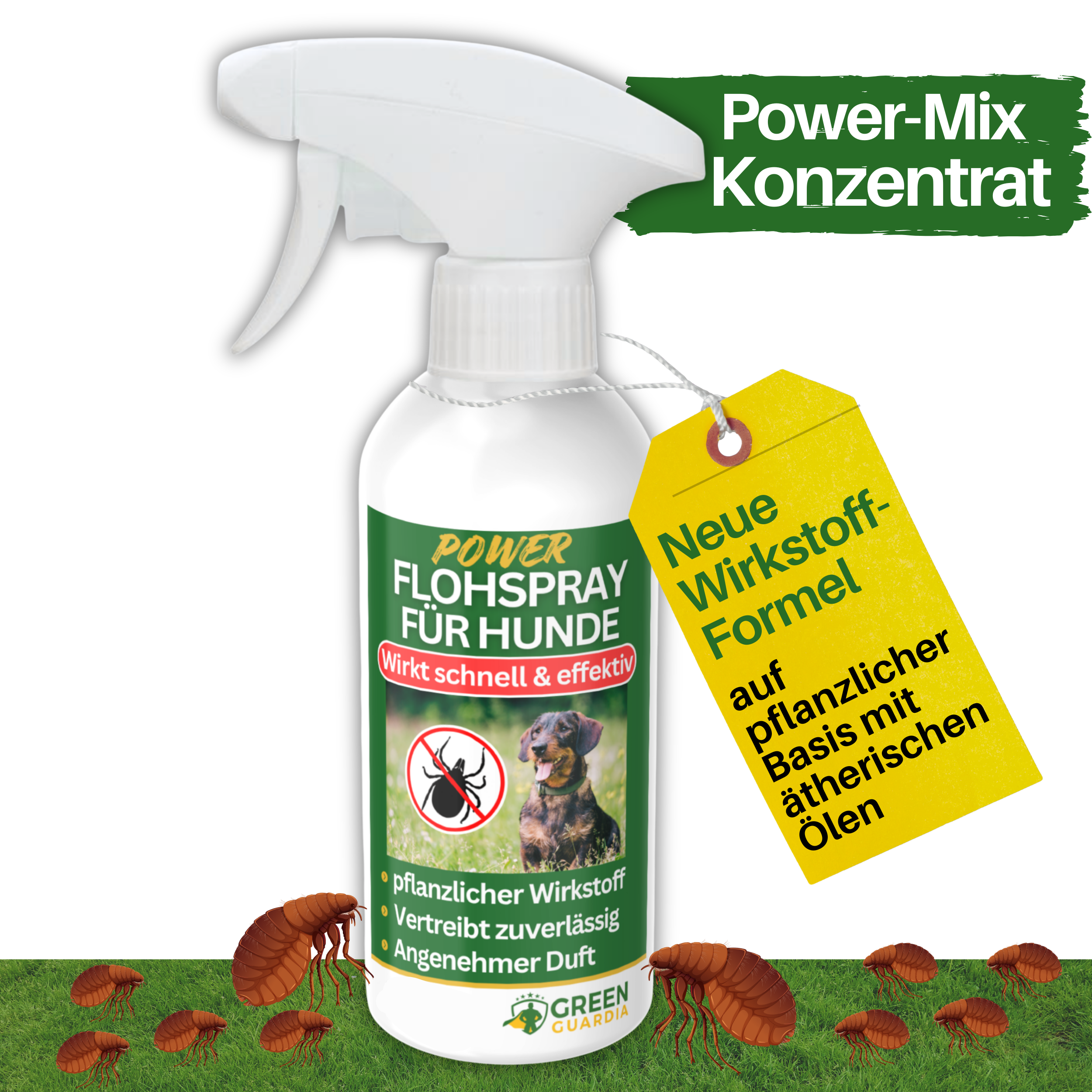 Flea repellent spray power concentrate for dogs