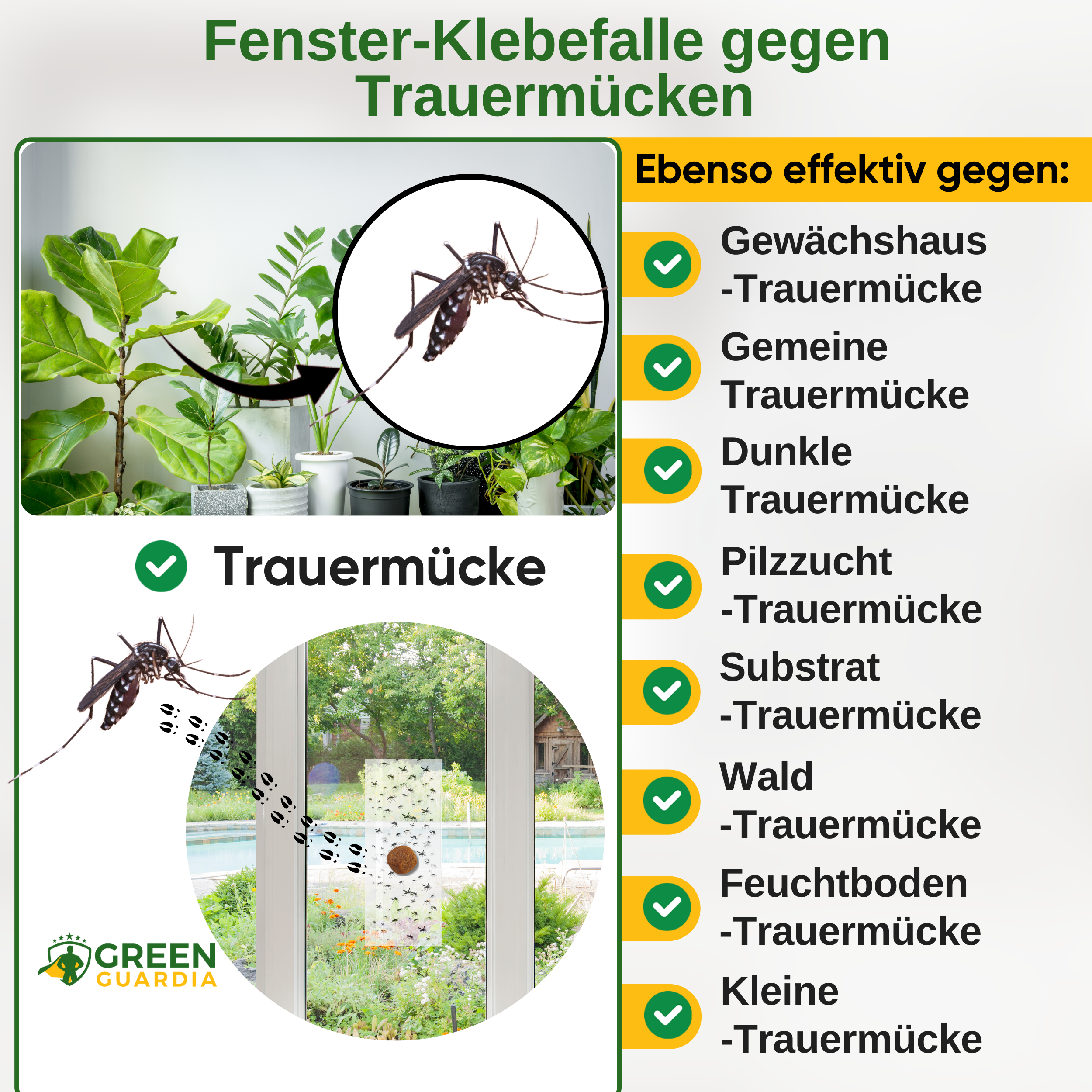Trauermücken Fenster-Falle mit Spezial-Lockstoff