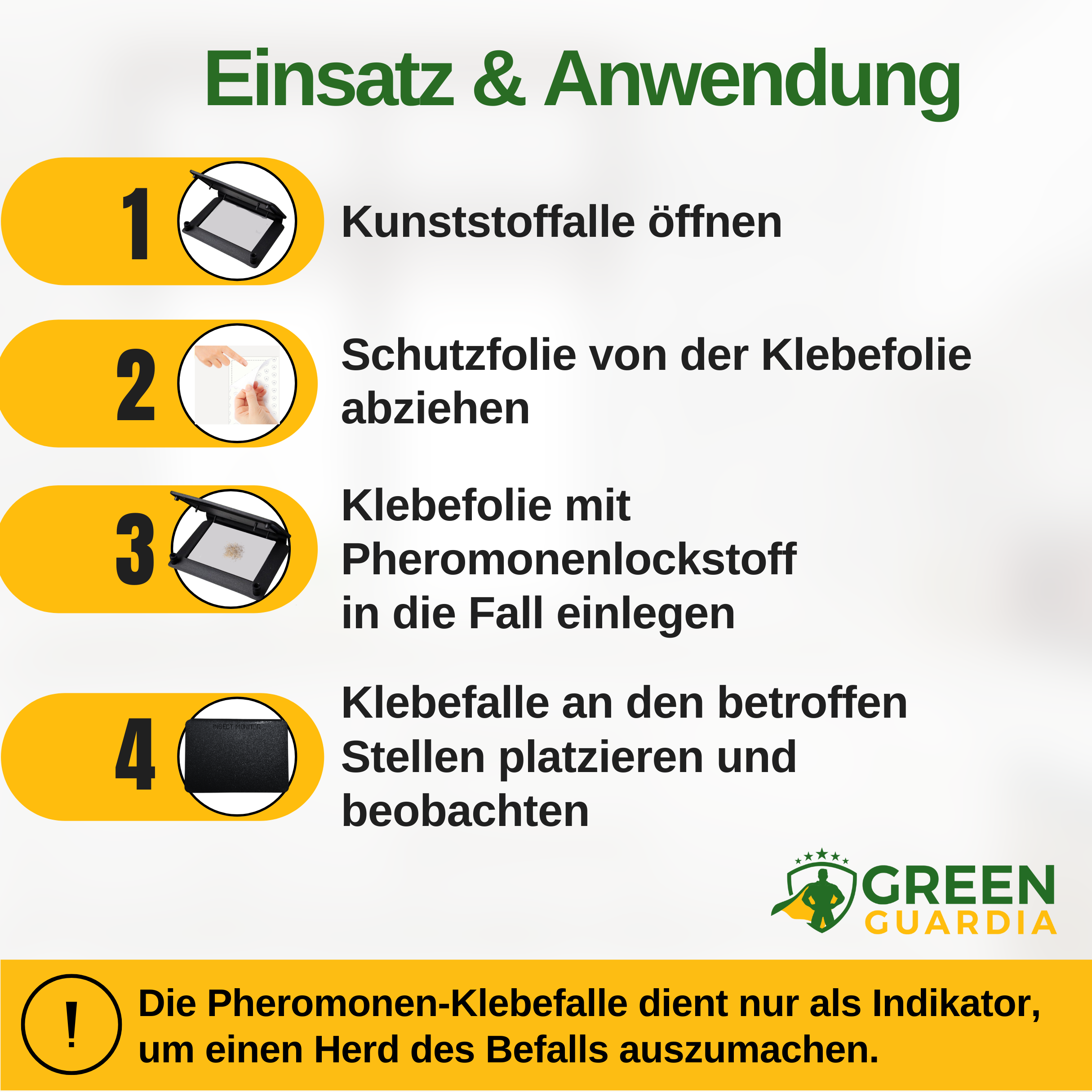 Beetle trap with pheromone attractant