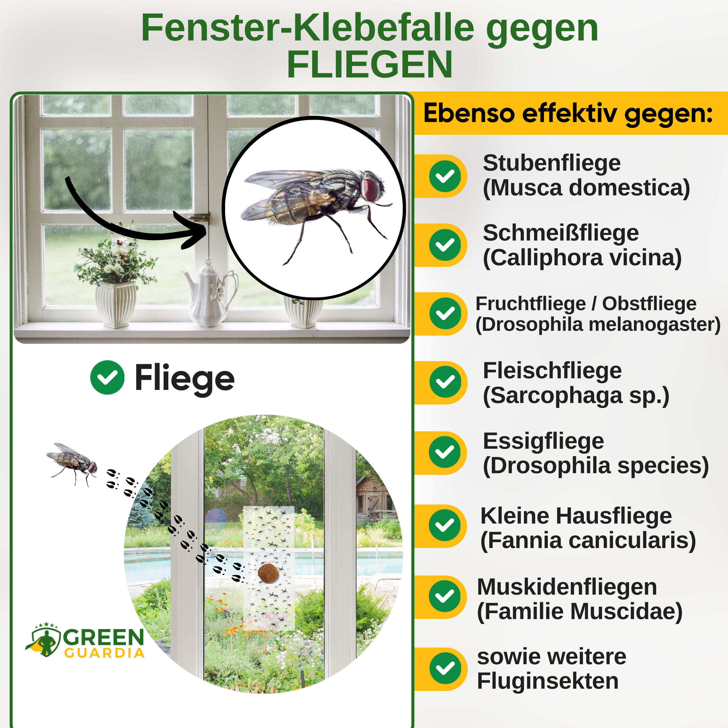 Fliegen Fenster-Falle mit Spezial-Lockstoff