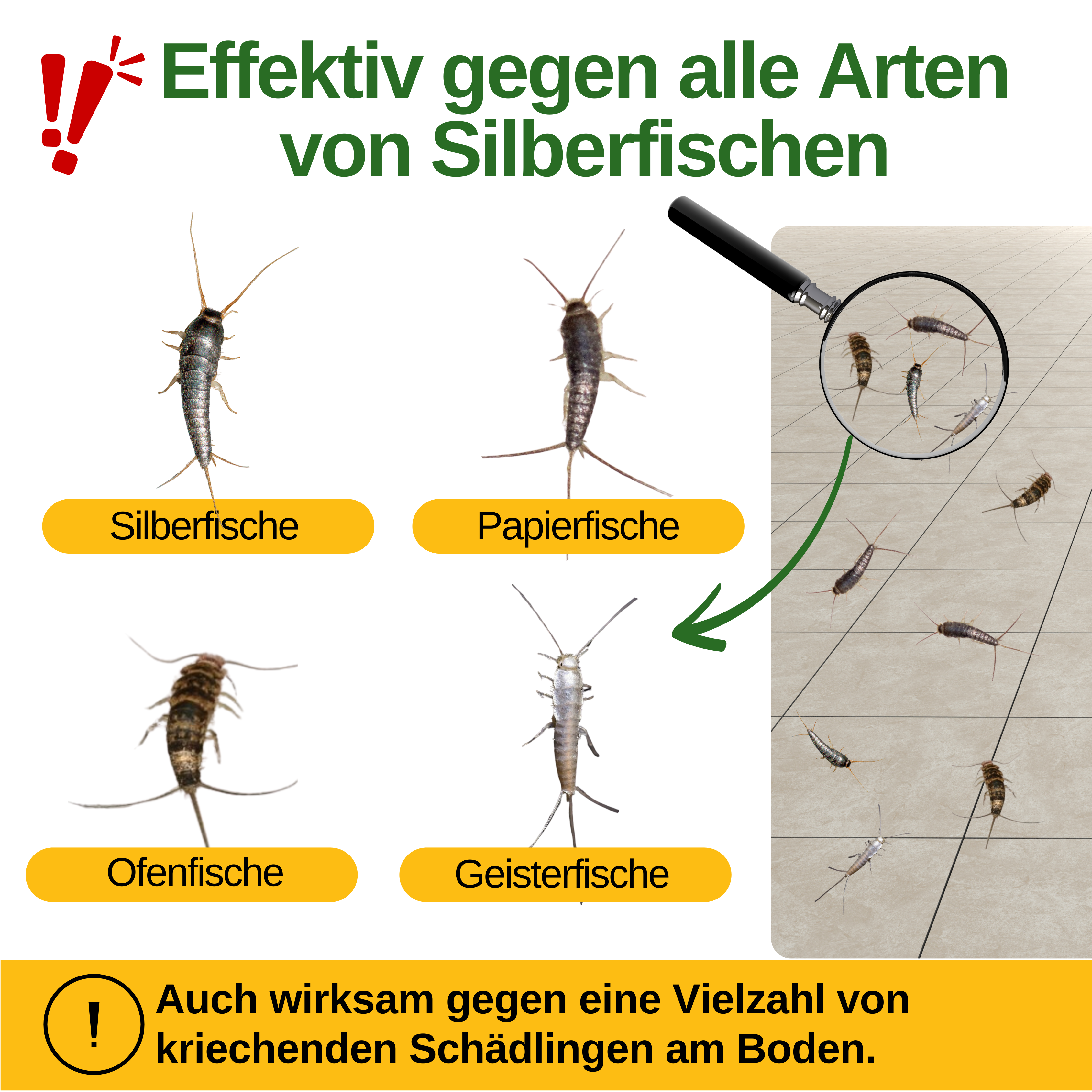 Silberfisch Falle mit Spezial-Lockstoff
