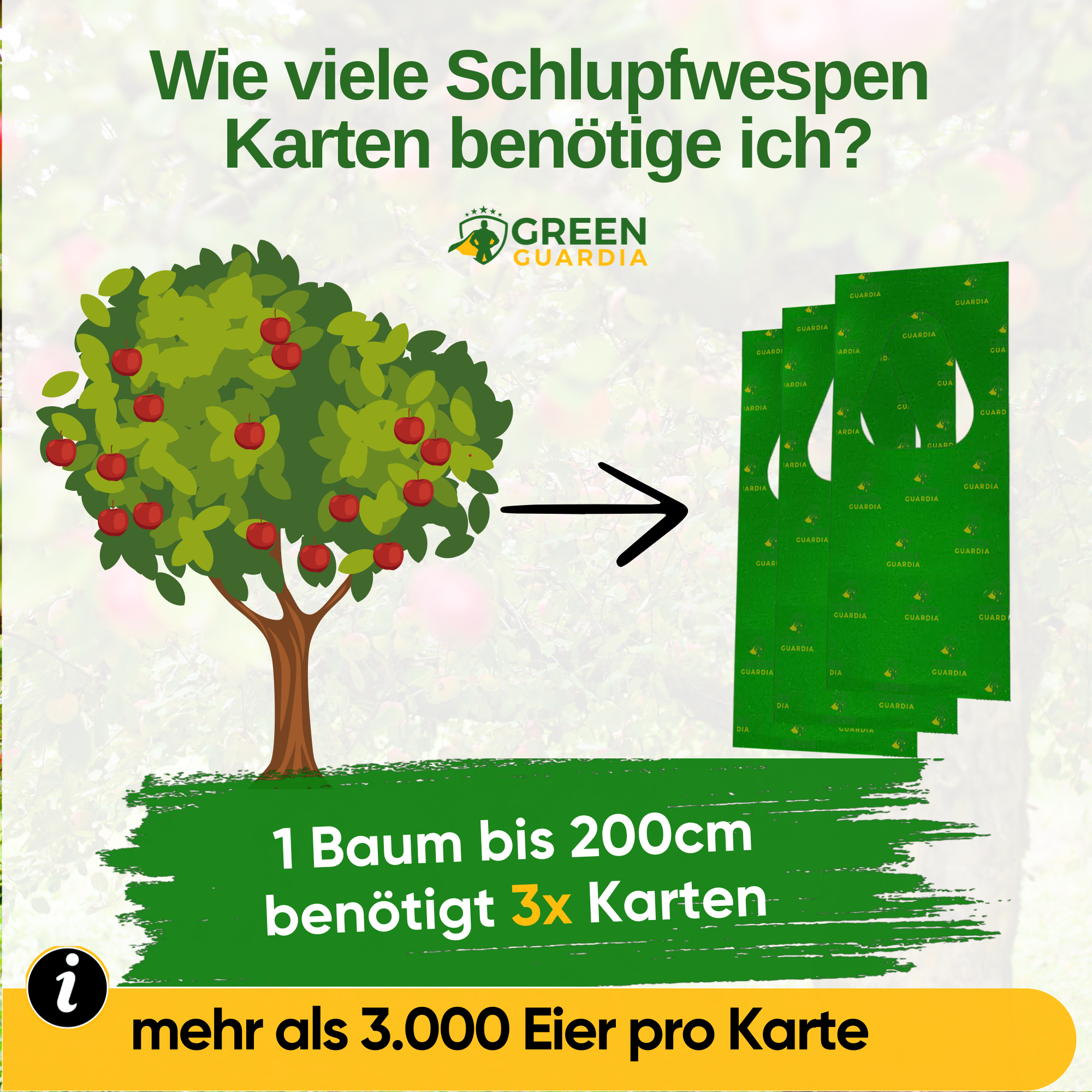 Schlupfwespen gegen Pflaumenwickler