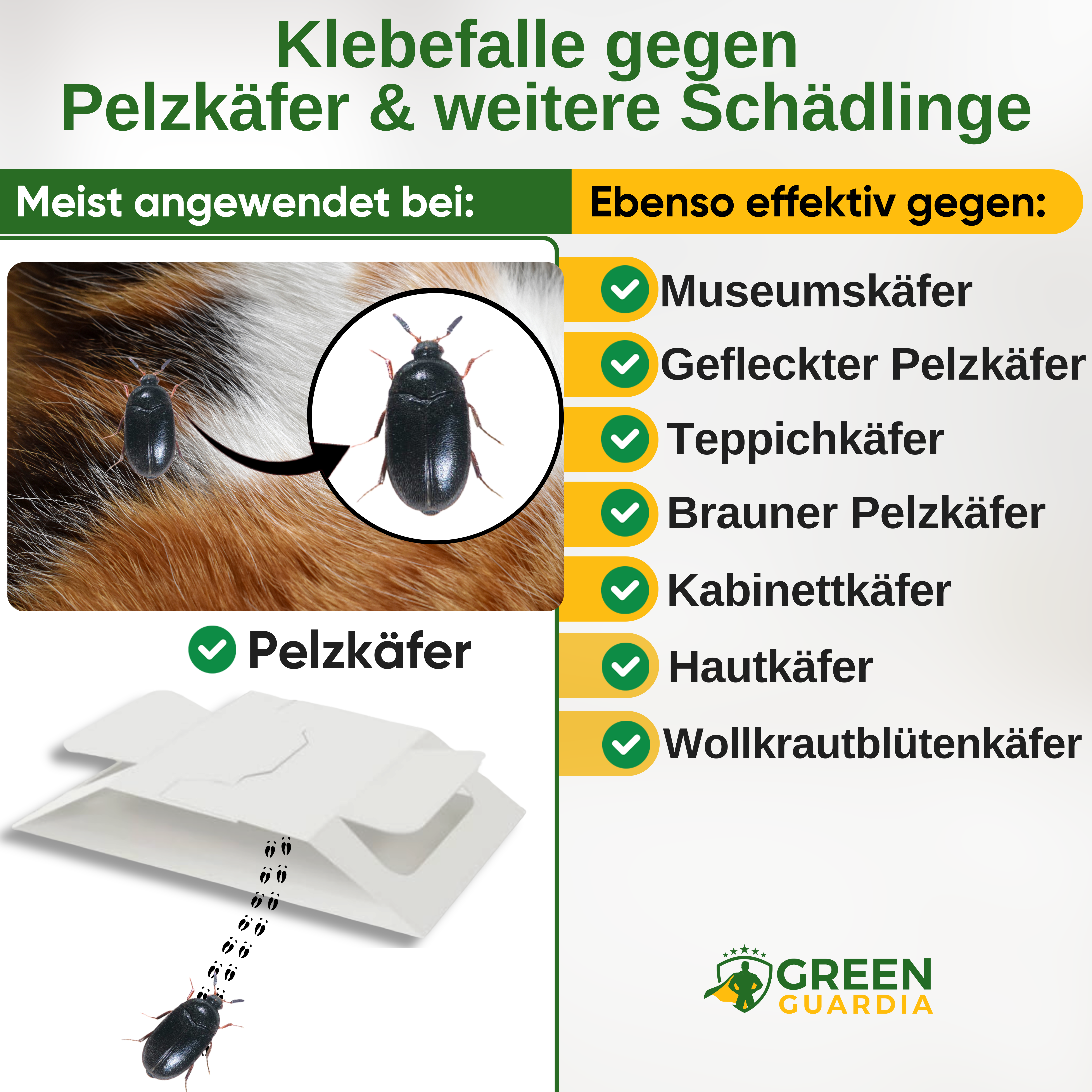 Fur beetle trap with special attractant