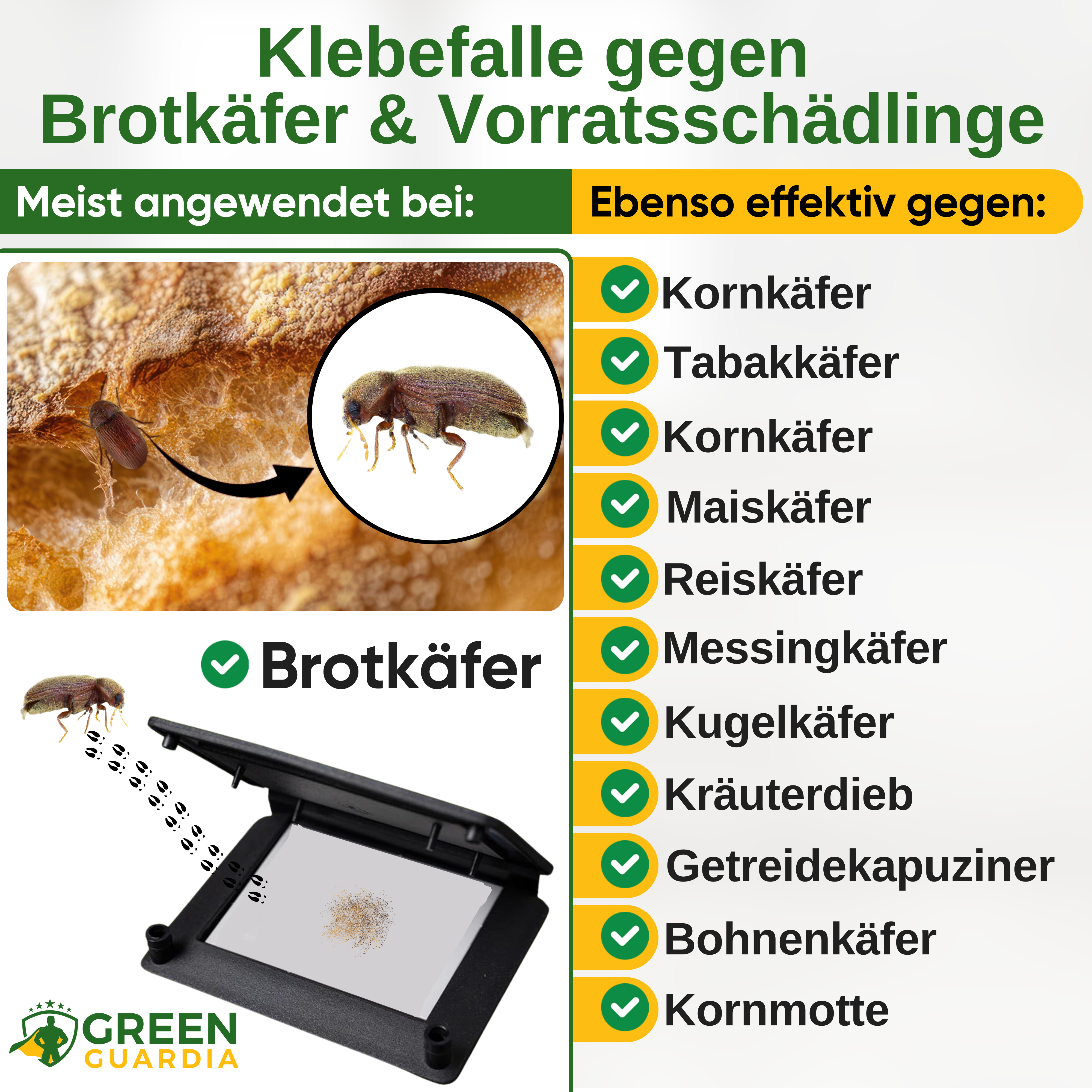 Brotkäfer Falle mit Pheromon-Lockstoff