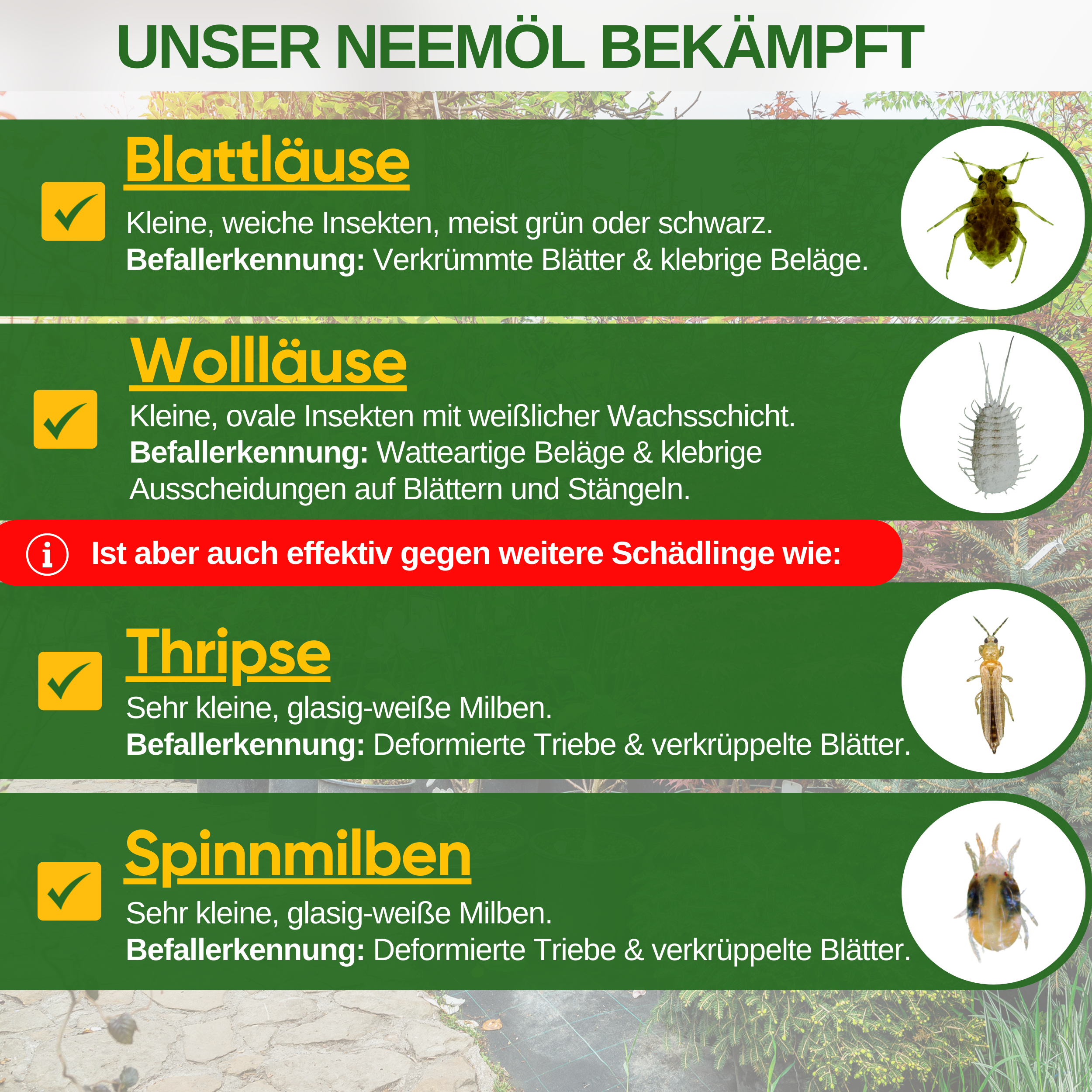 Power Neemöl gegen Blatt- und Wollläuse