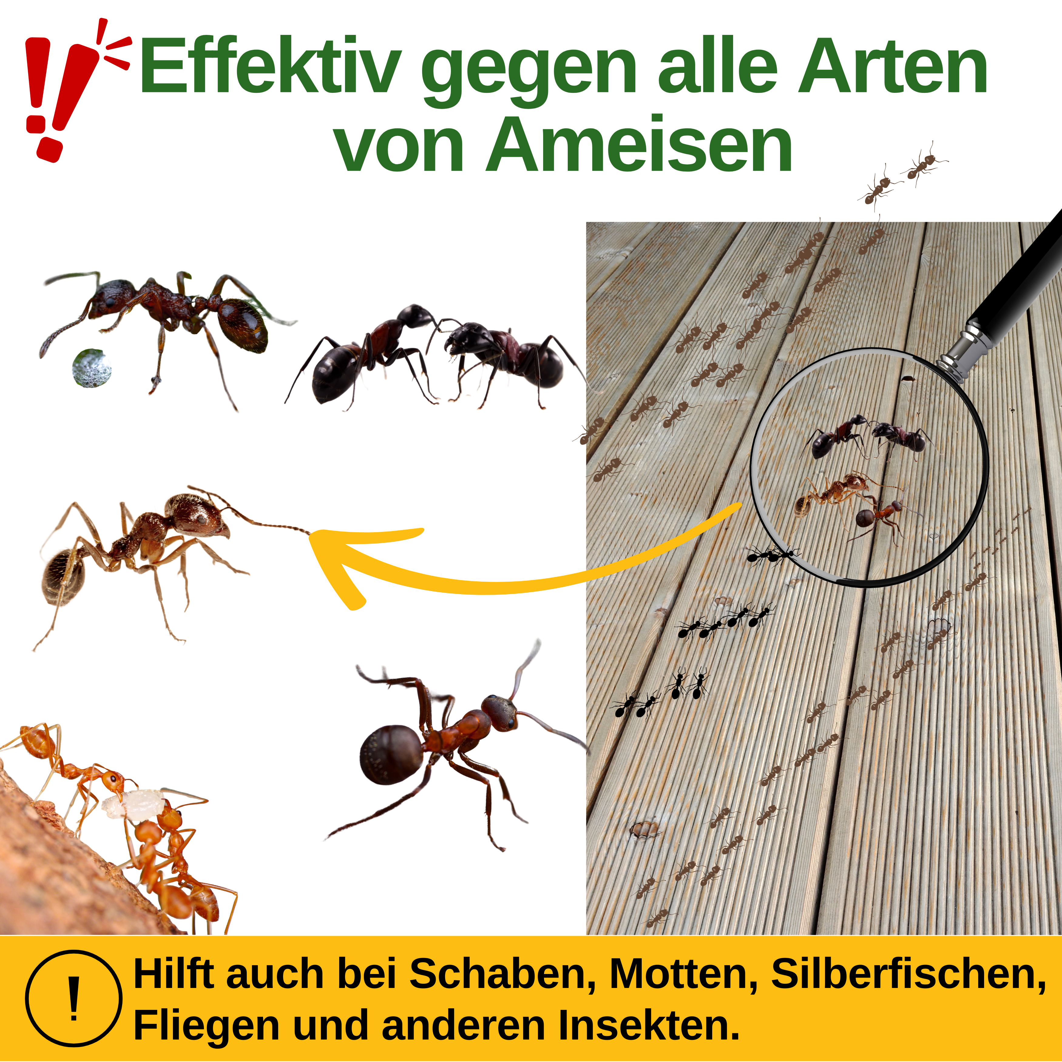 Ameisen Abwehrspray Power-Konzentrat