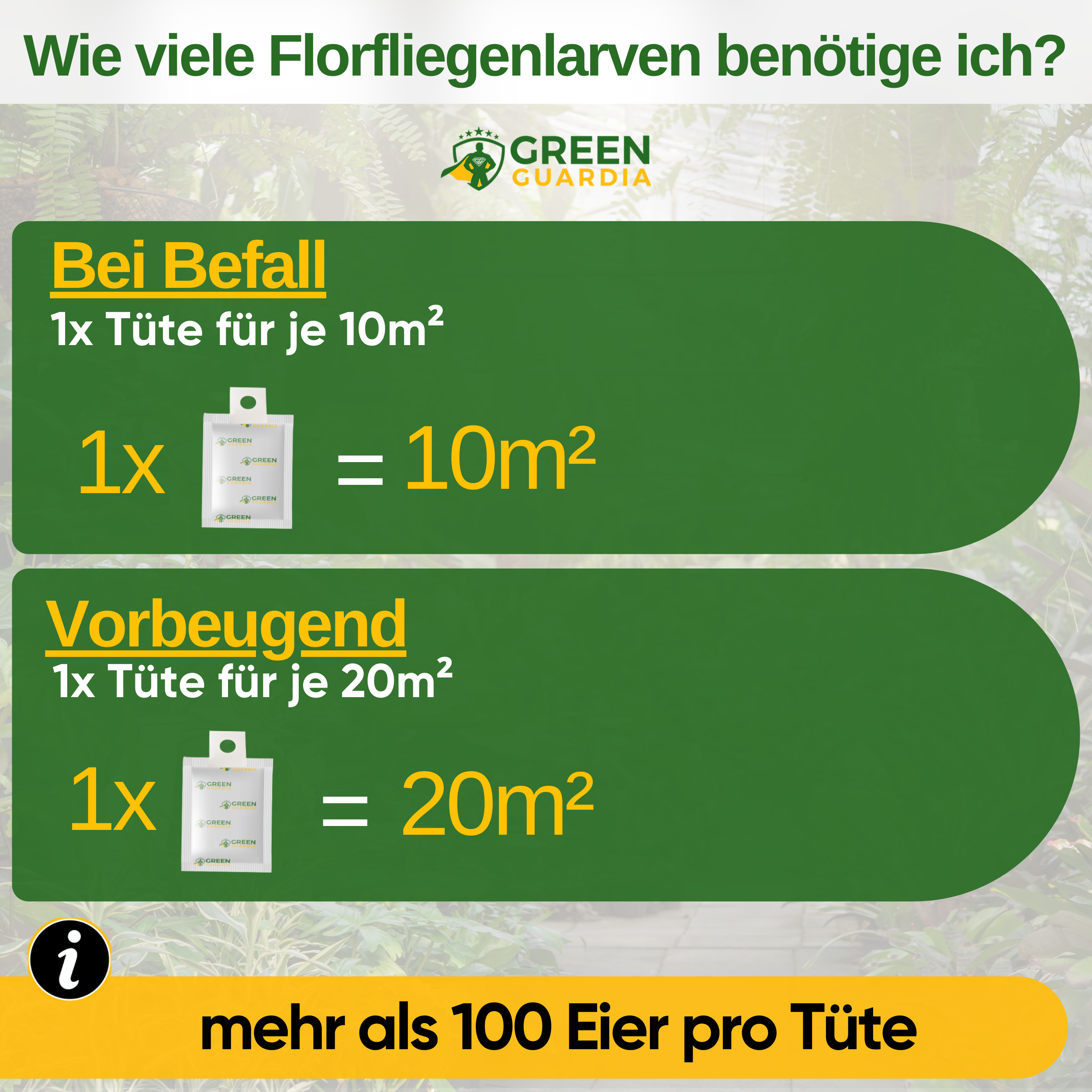 Florfliegenlarven-Eier gegen Blattläuse, Wollläuse zum Aufhängen oder Streuen