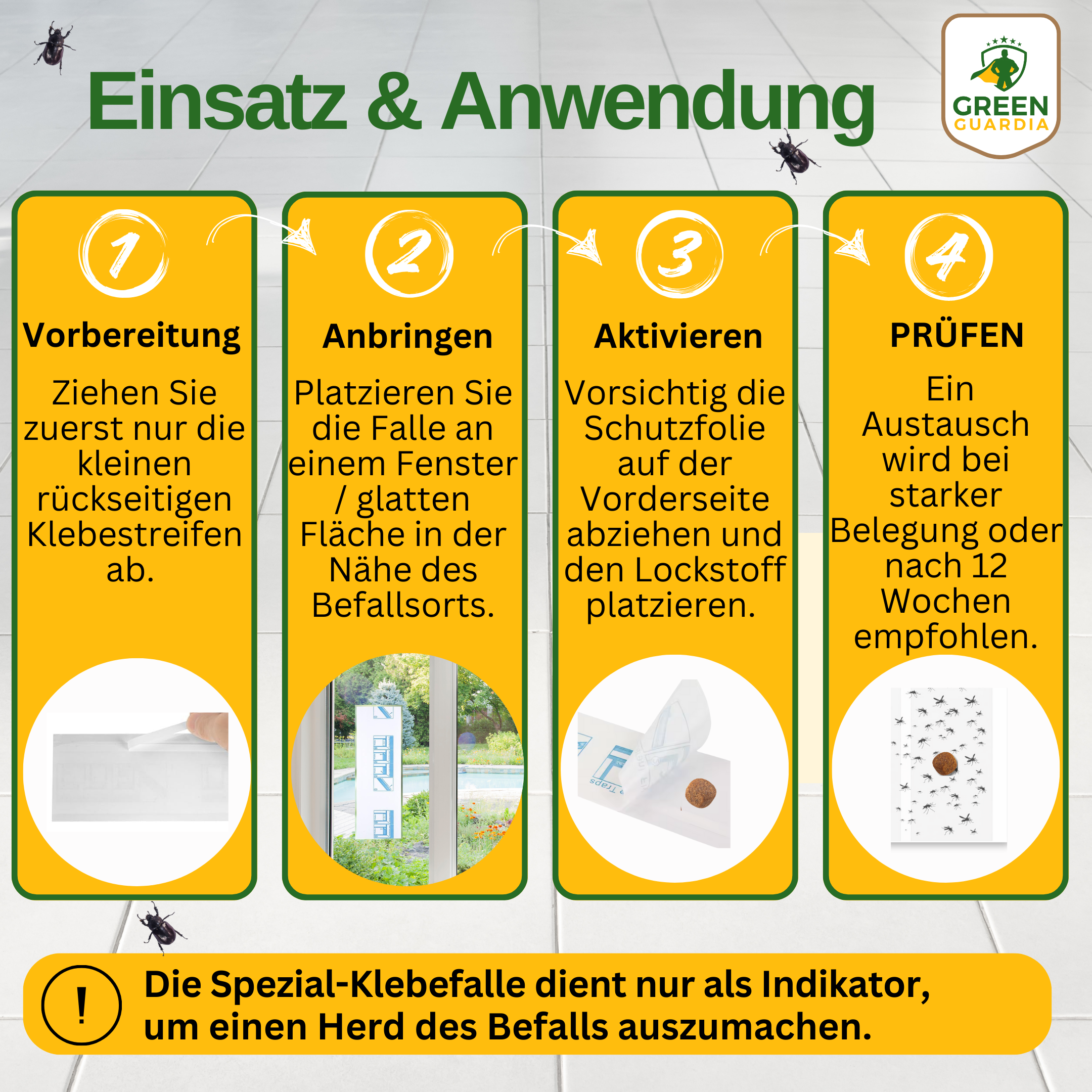 Trauermücken Fenster-Falle mit Spezial-Lockstoff