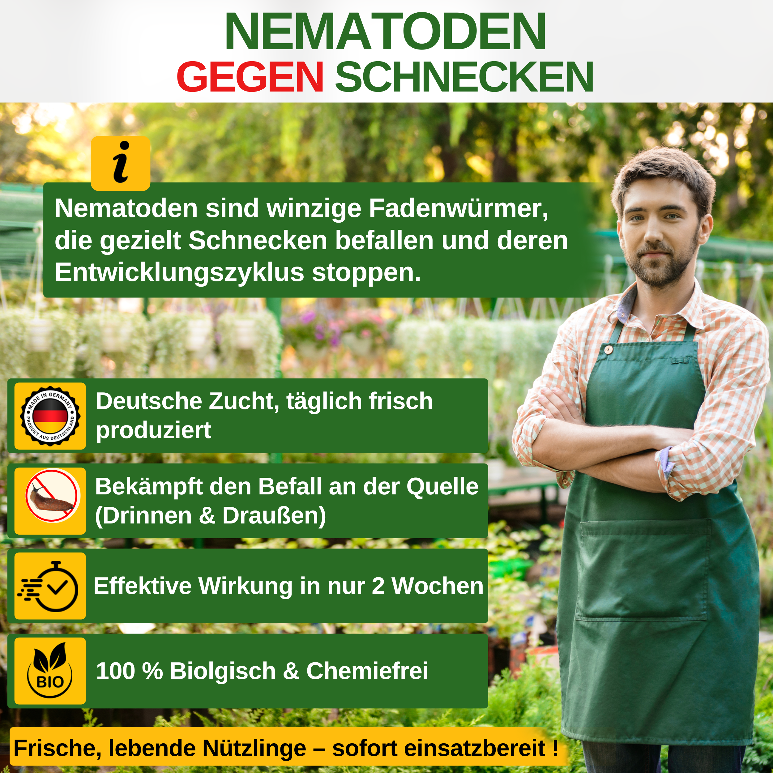 Nematoden gegen alle Arten von Schnecken