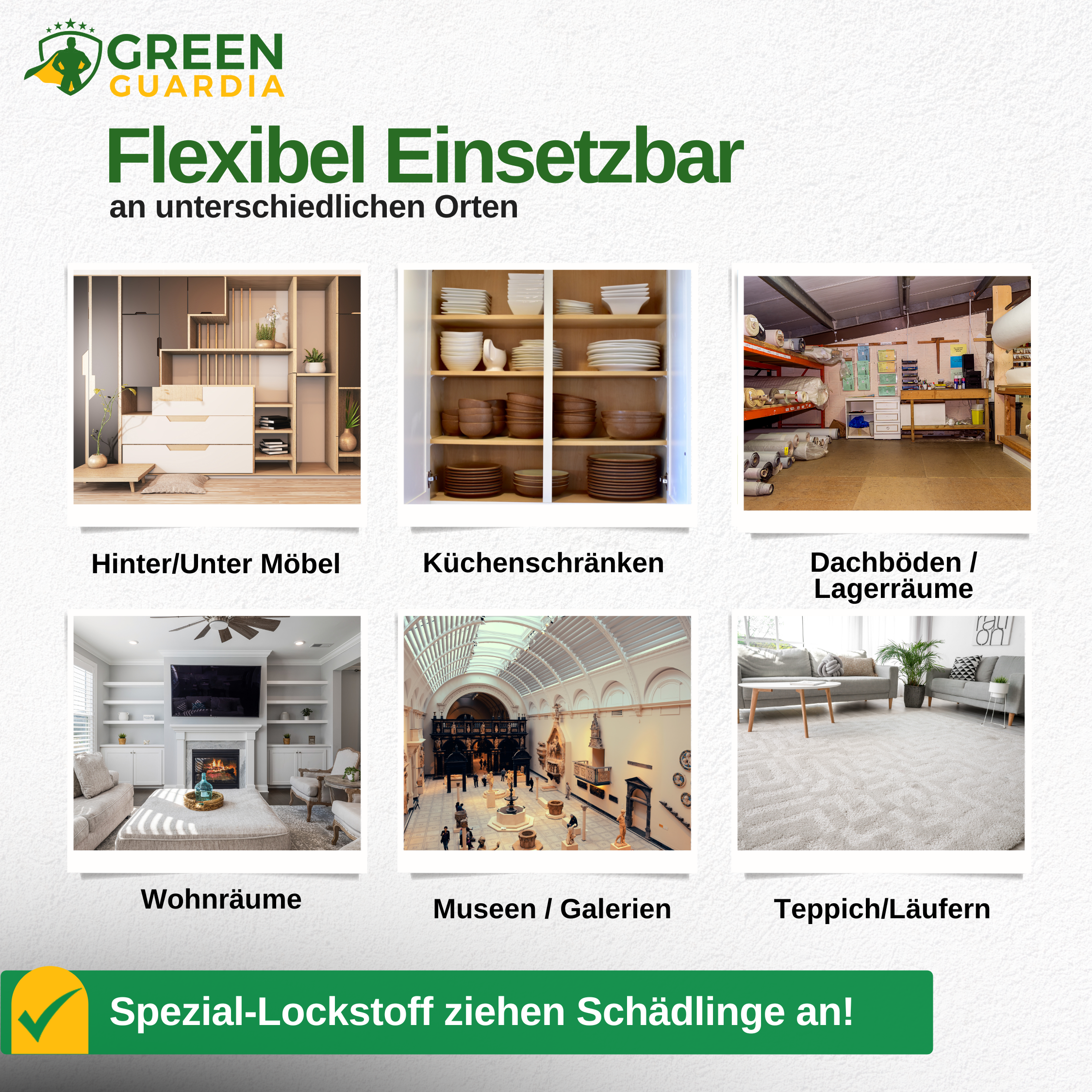Teppichkäfer Falle mit Spezial-Lockstoff
