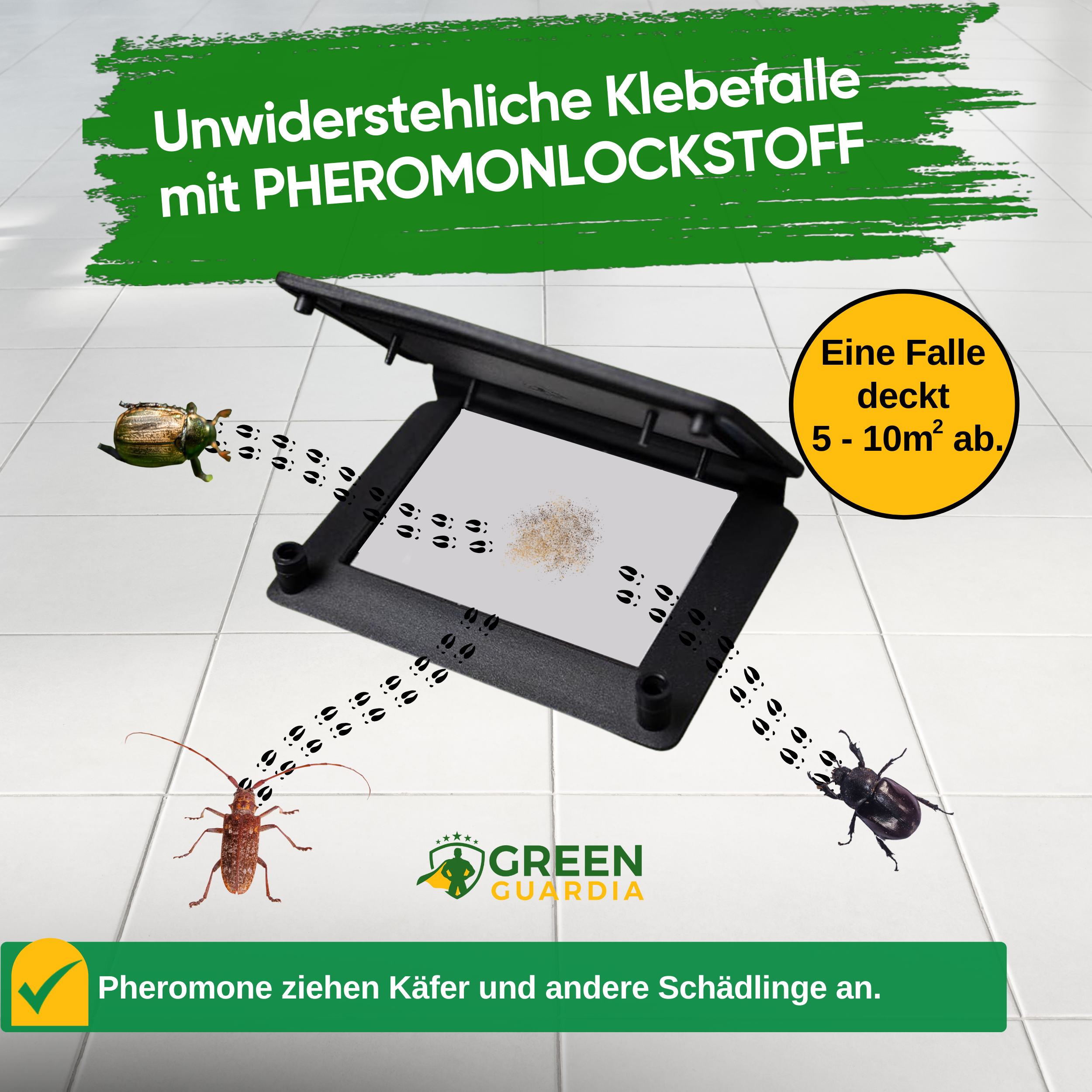 Beetle trap with pheromone attractant