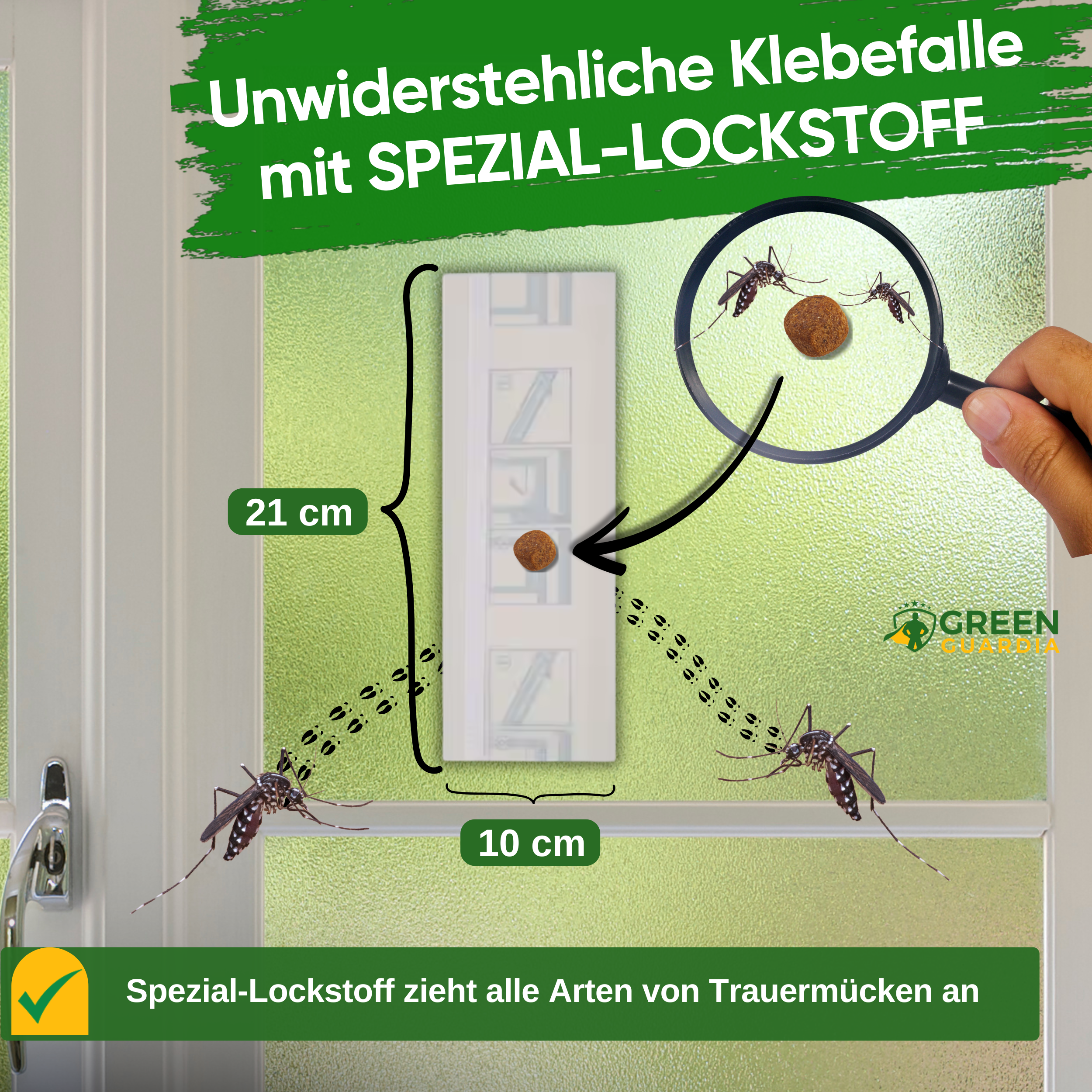 Trauermücken Fenster-Falle mit Spezial-Lockstoff