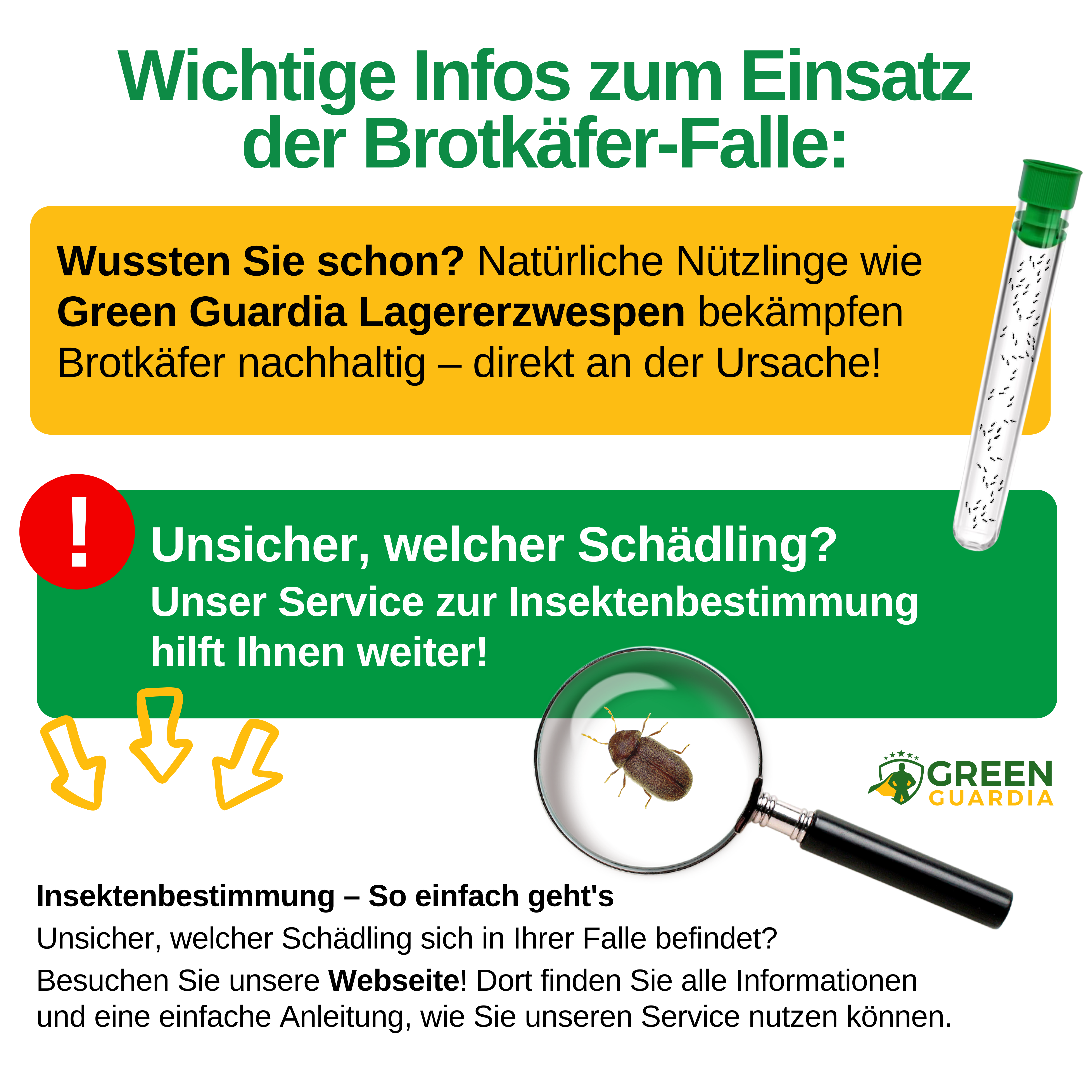 Brotkäfer Falle mit Pheromon-Lockstoff