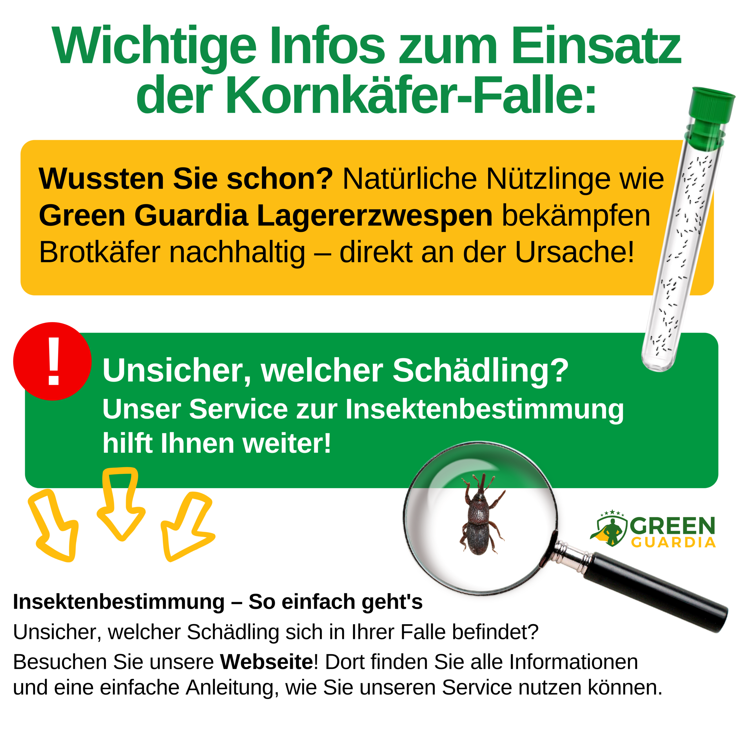 Grain beetle trap with special attractant