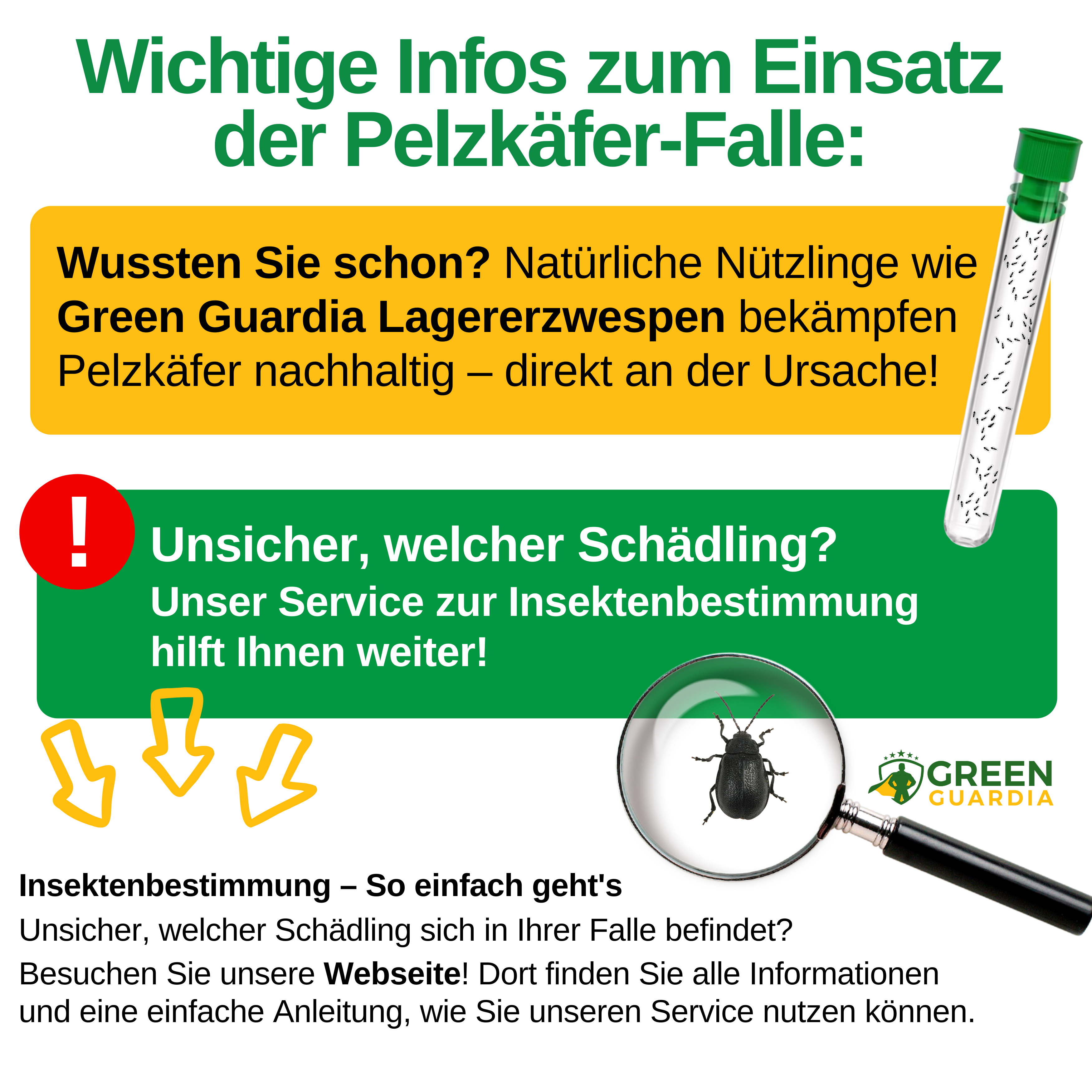 Fur beetle trap with special attractant