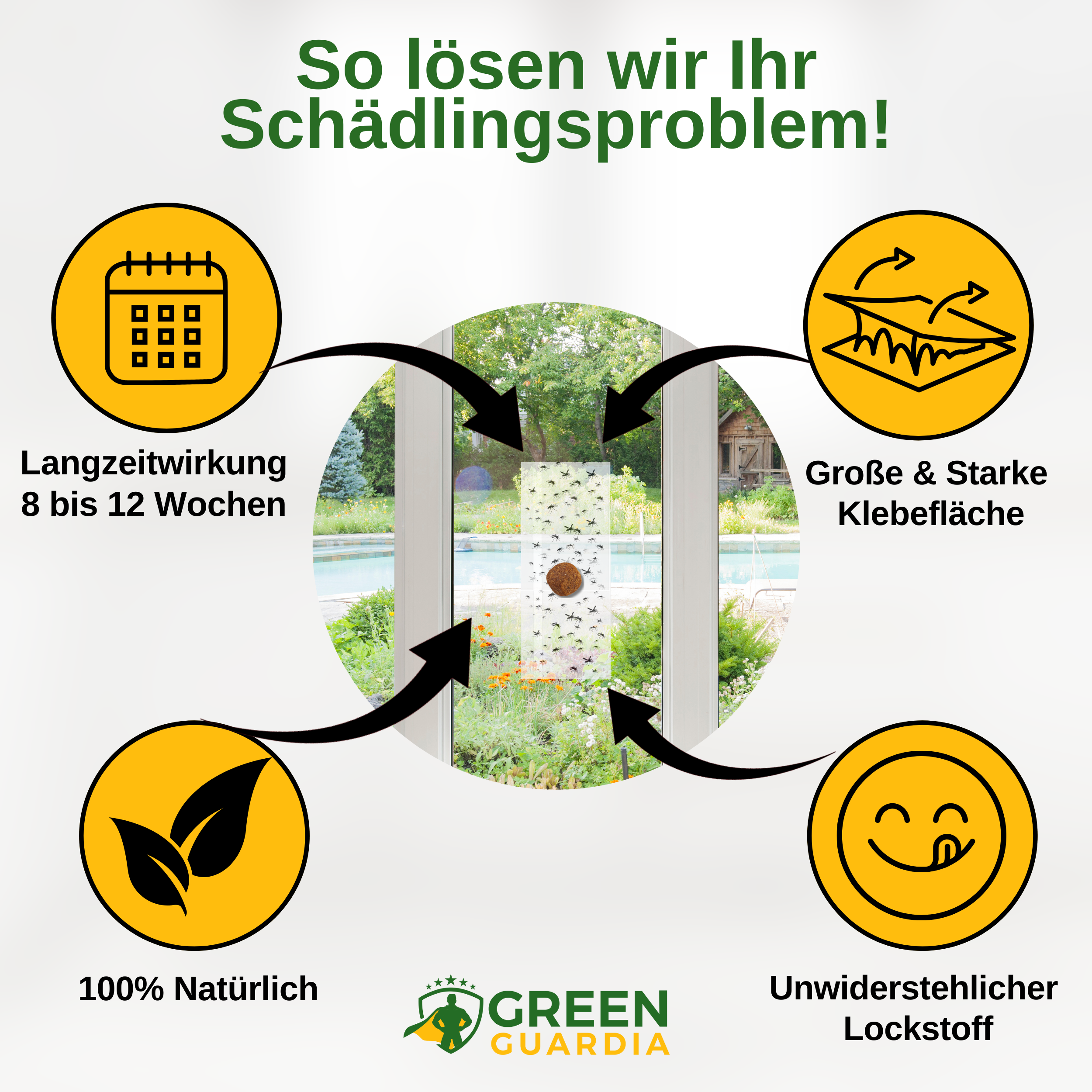 Trauermücken Fenster-Falle mit Spezial-Lockstoff