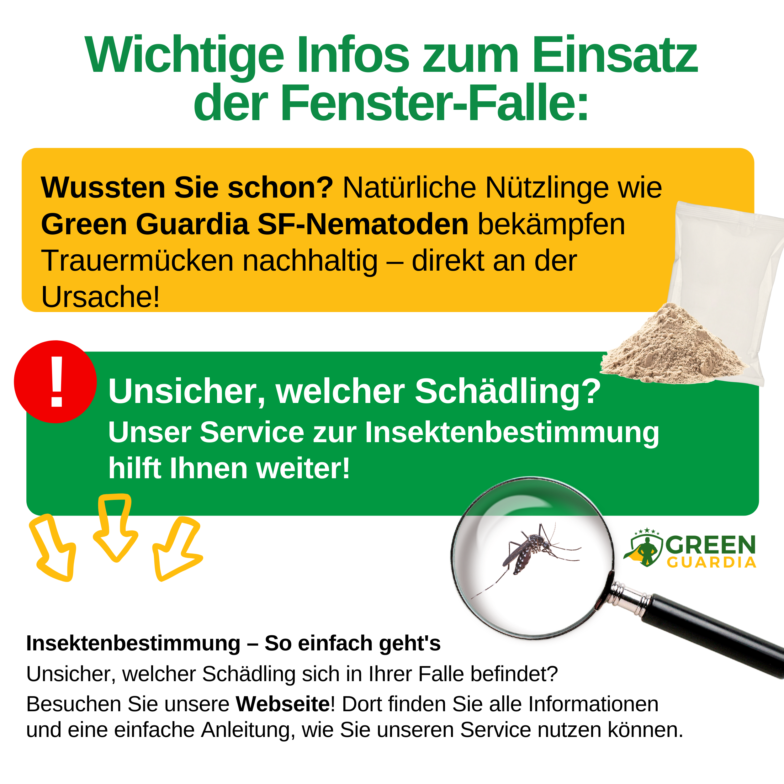 Trauermücken Fenster-Falle mit Spezial-Lockstoff