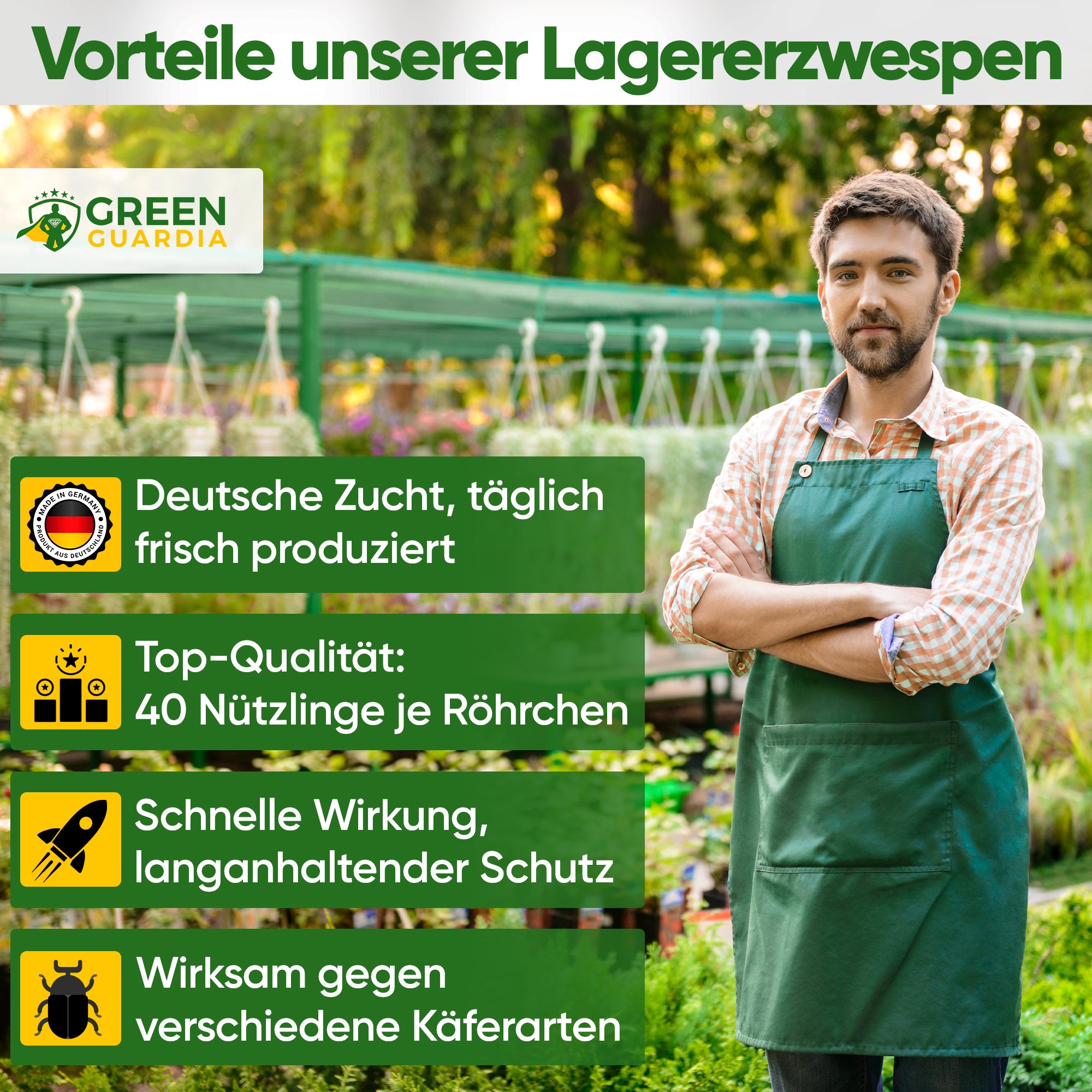 Lagererzwespen gegen Brotkäfer, Reiskäfer & Co.