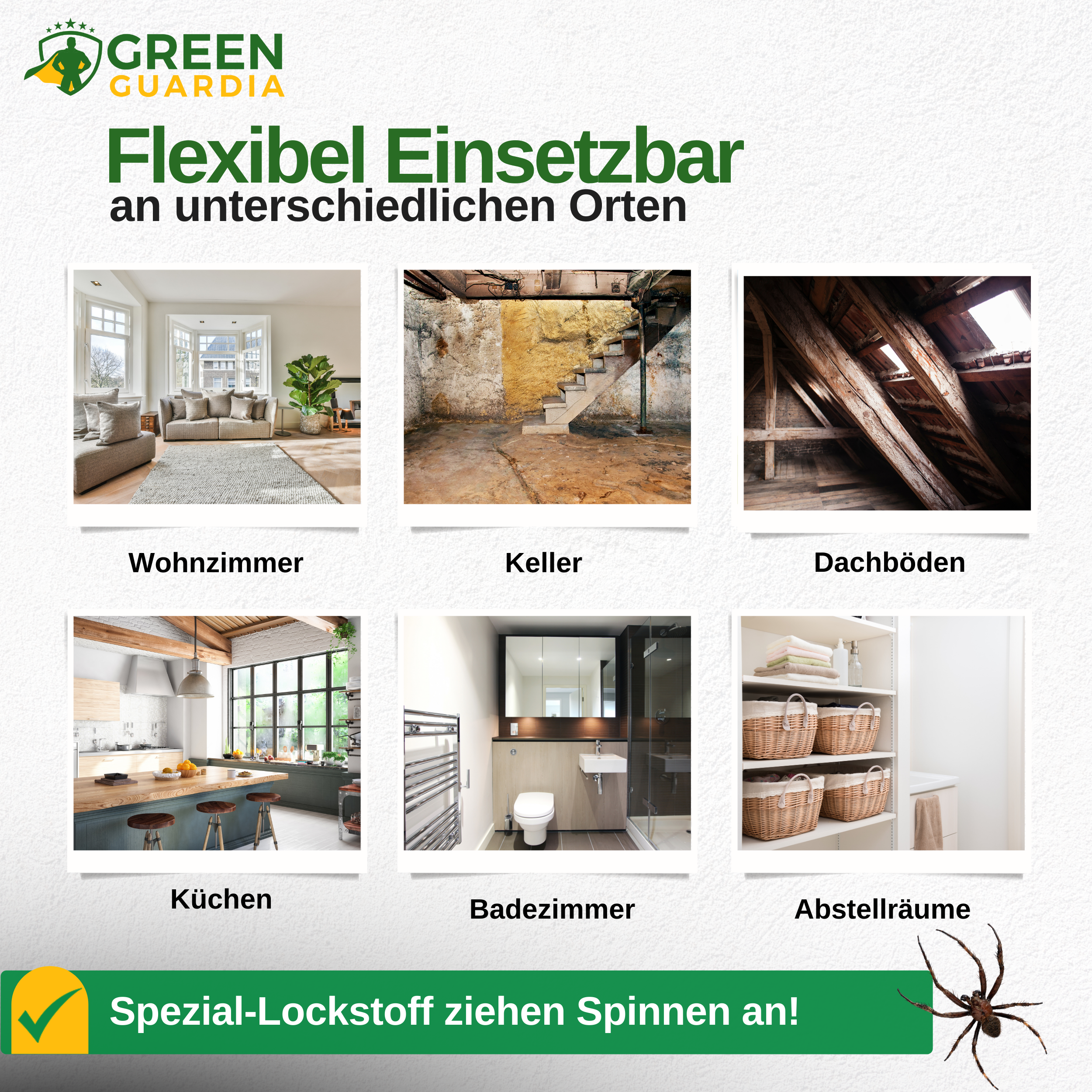Spider trap with special attractant