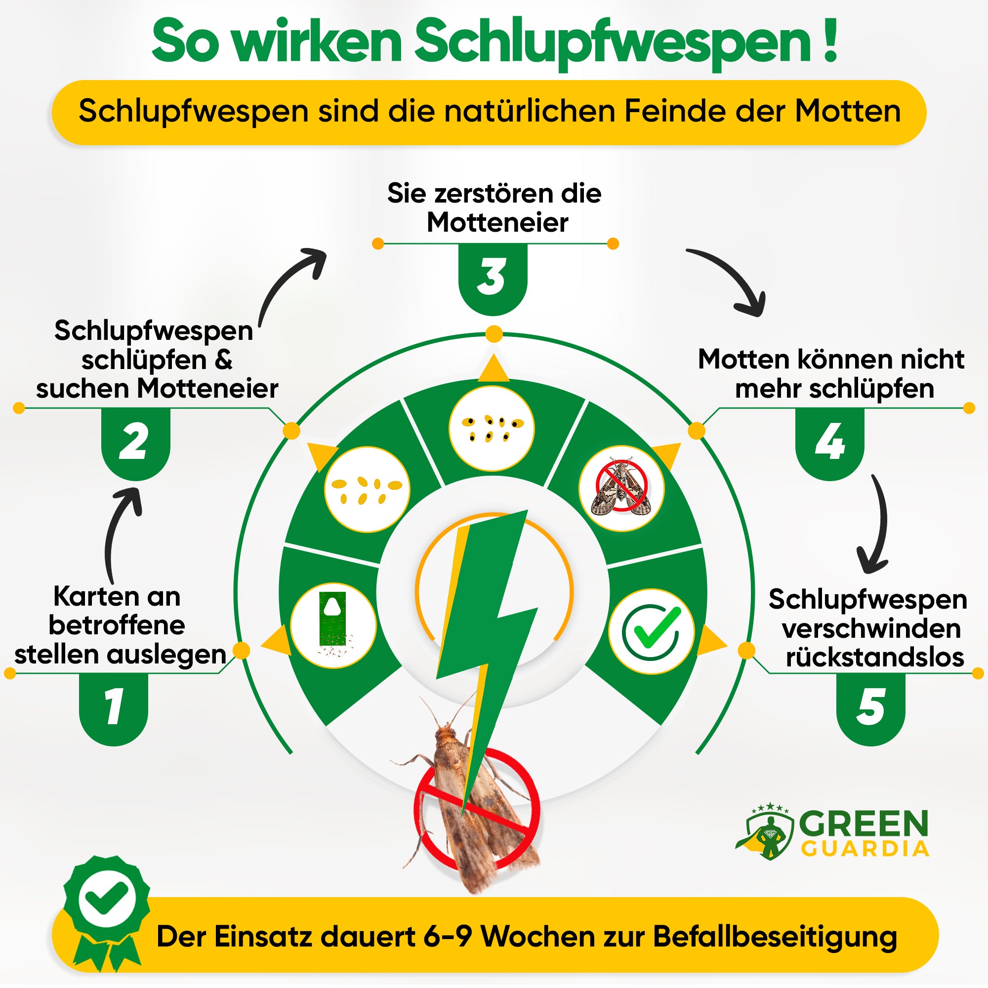 Schlupfwespen gegen Lebensmittelmotten
