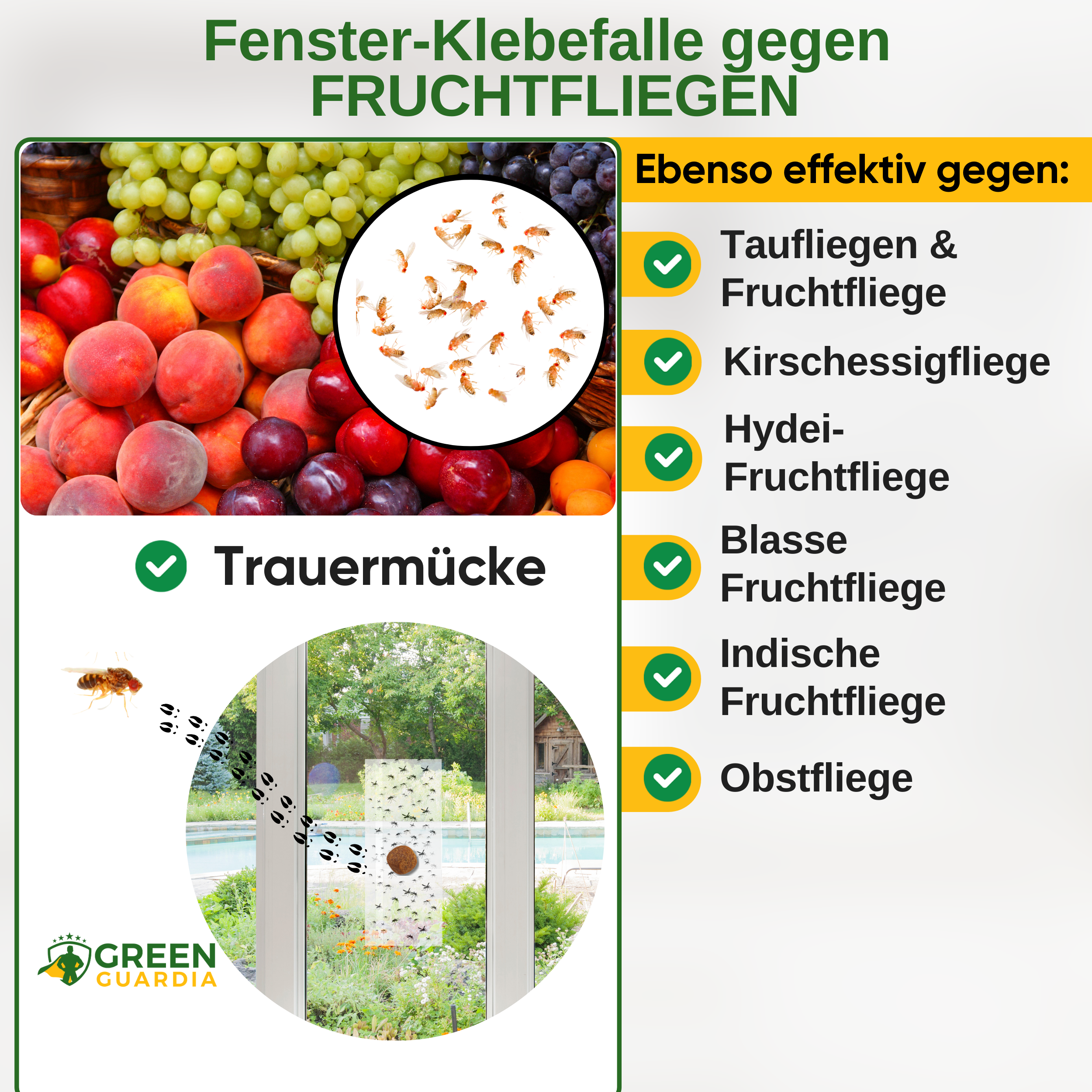 Fruchtfliegen Fenster-Falle mit Spezial-Lockstoff