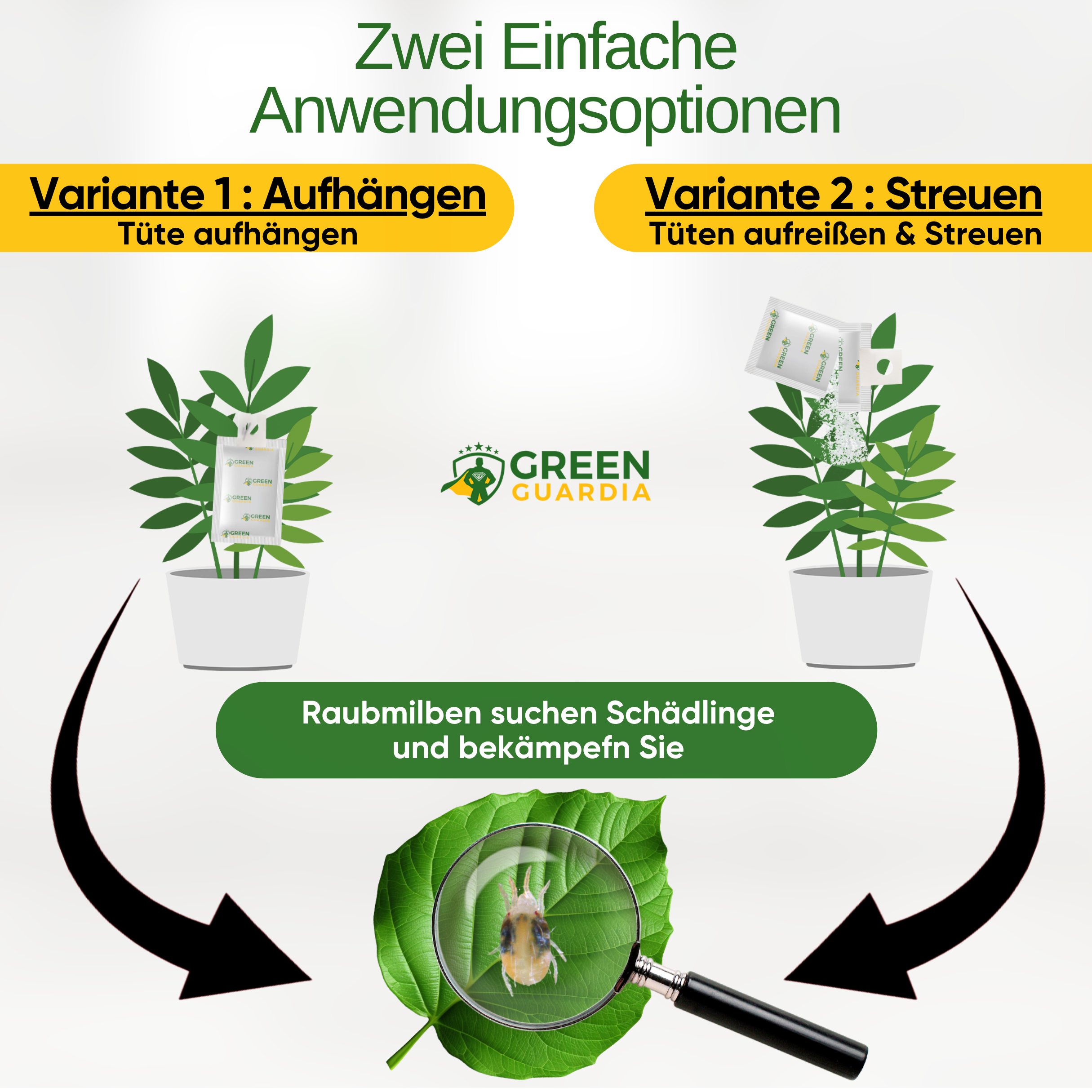 Raubmilben gegen Spinnmilben zum Aufhängen oder Streuen