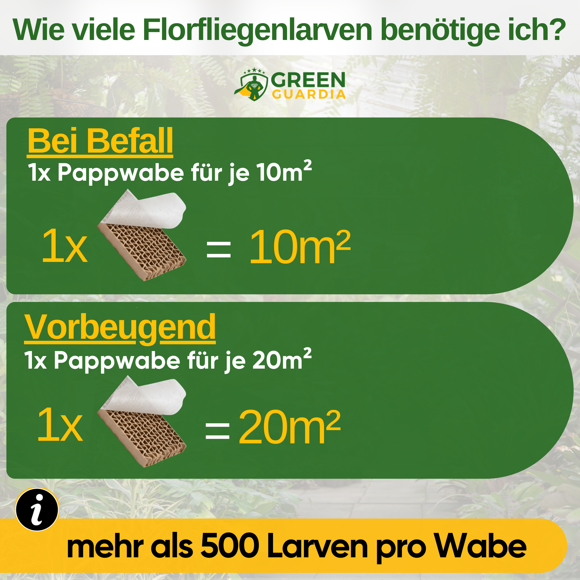 Florfliegenlarven gegen Blattläuse und Wollläuse