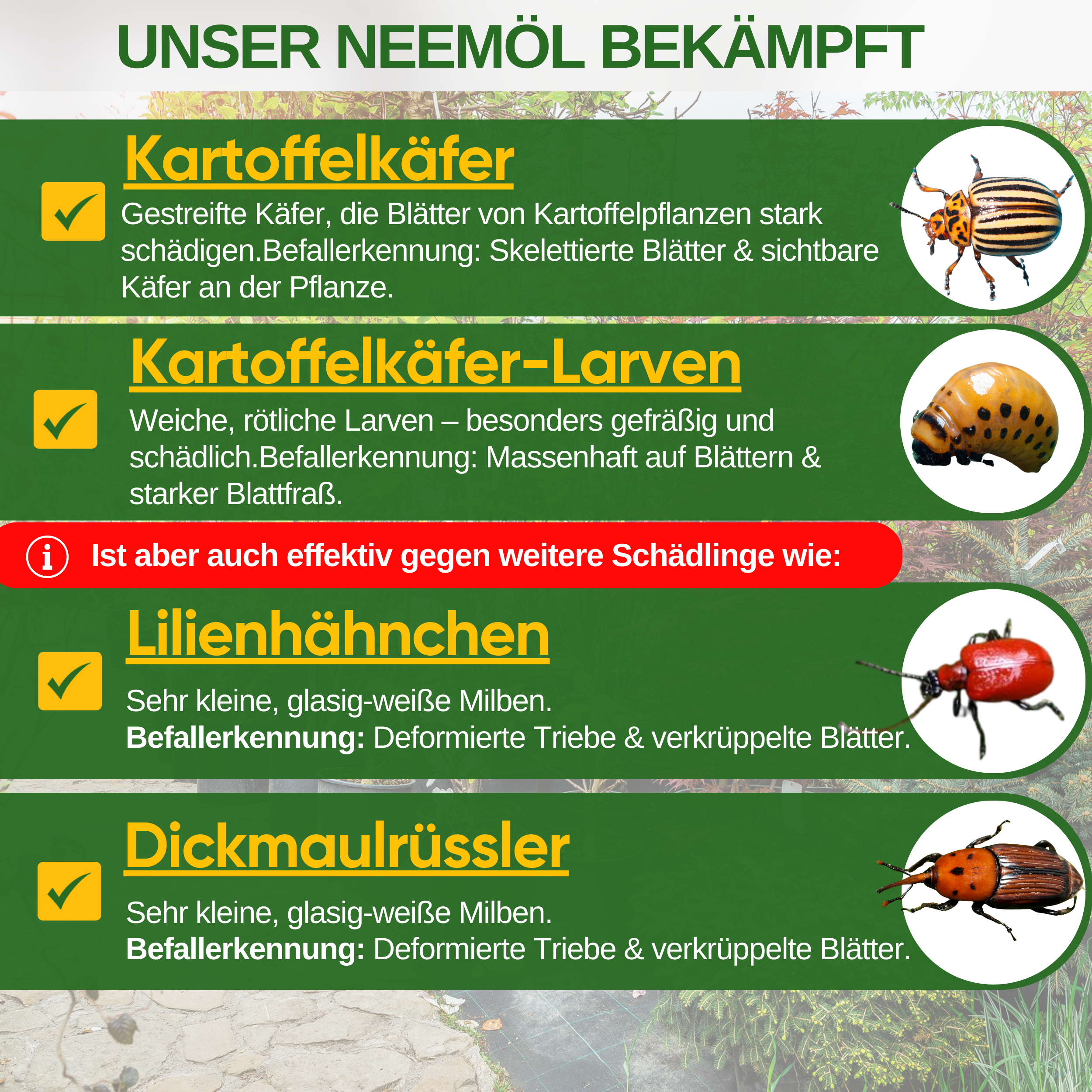 Power Neemöl gegen Kartoffelkäfer