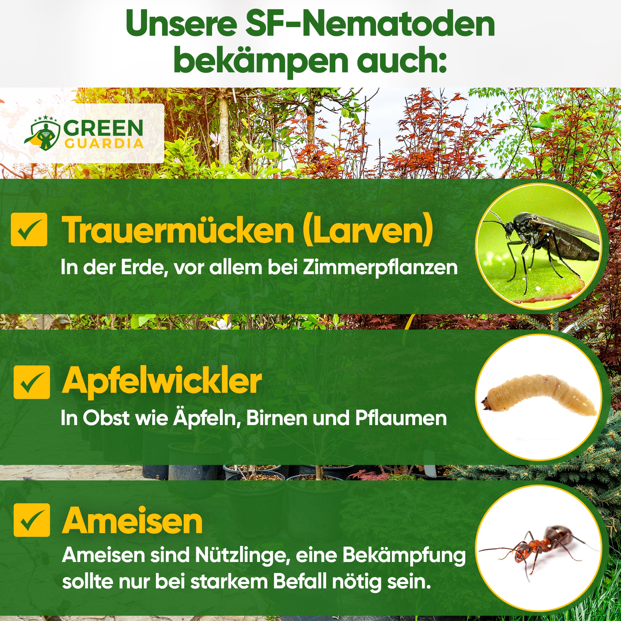 SF-Nematoden gegen Trauermücken, Apfelwickler & Ameisen