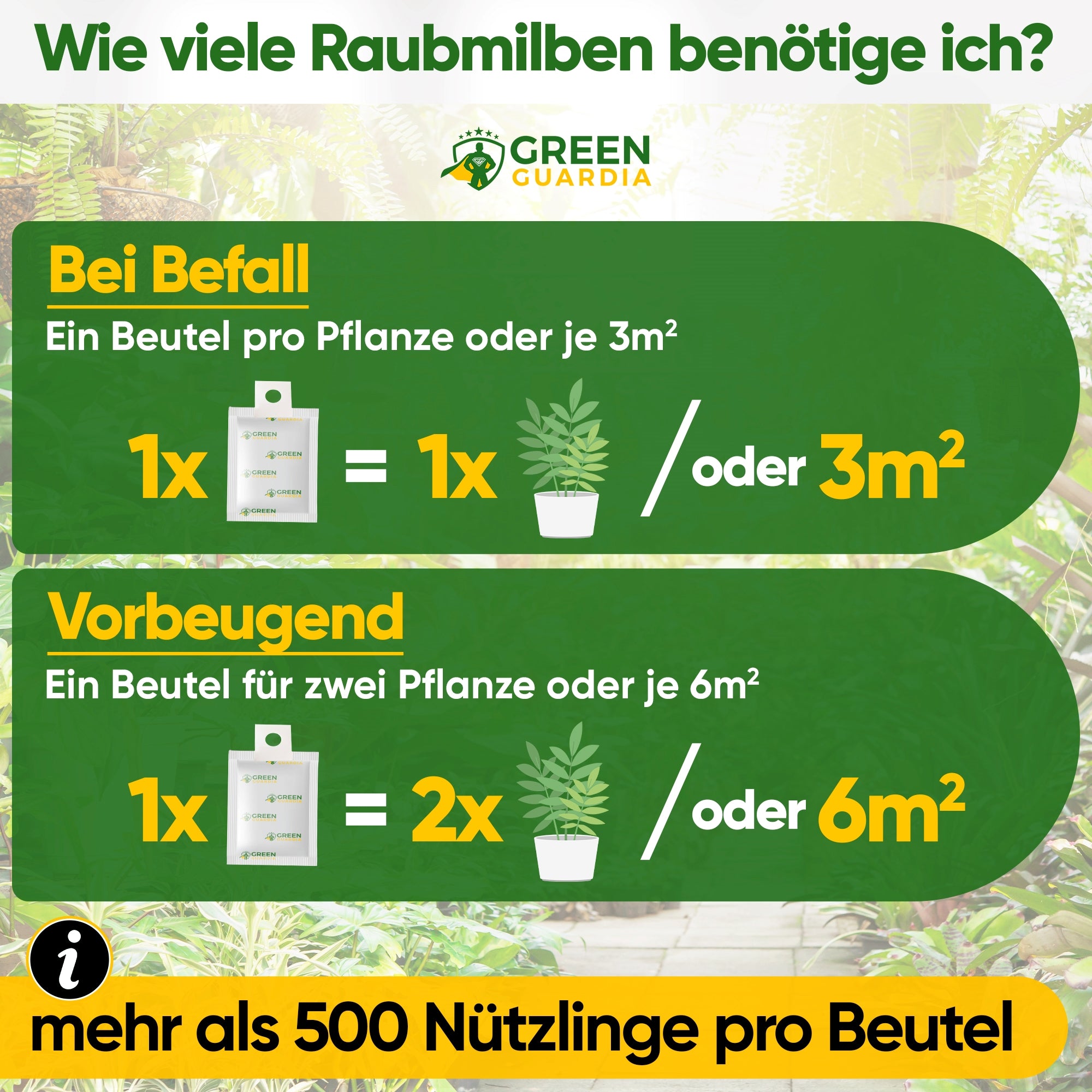 Raubmilben gegen Spinnmilben zum Aufhängen oder Streuen