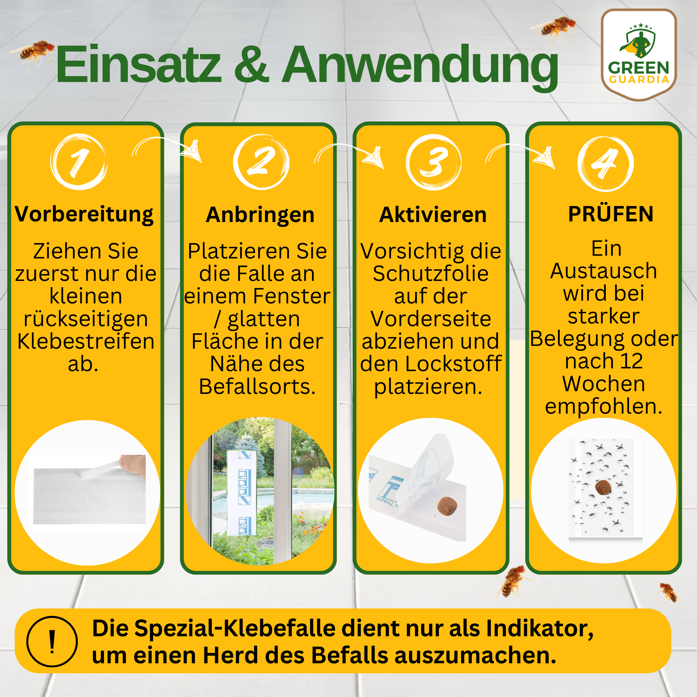 Fruchtfliegen Fenster-Falle mit Spezial-Lockstoff