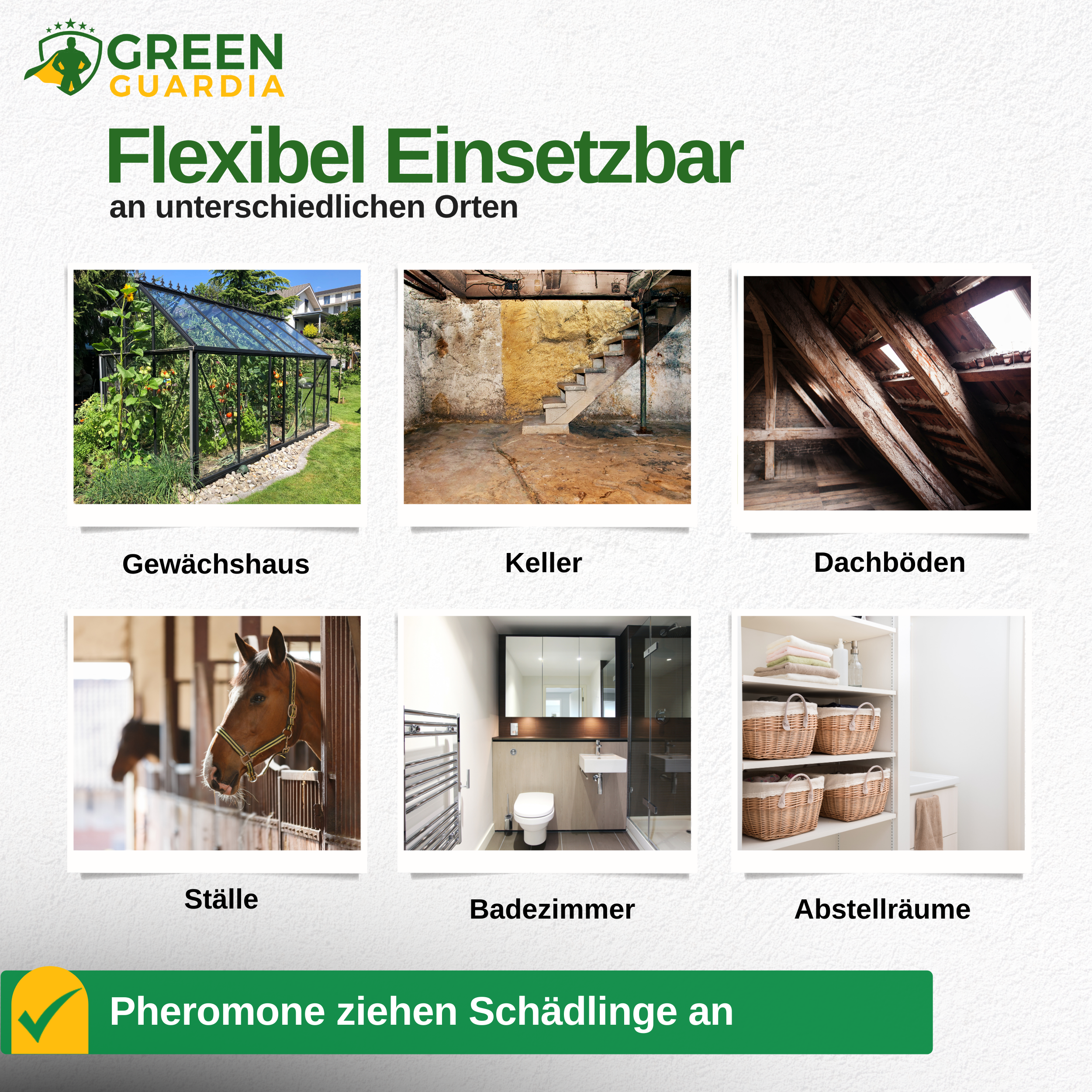 Kellerasseln Falle mit Pheromon-Lockstoff