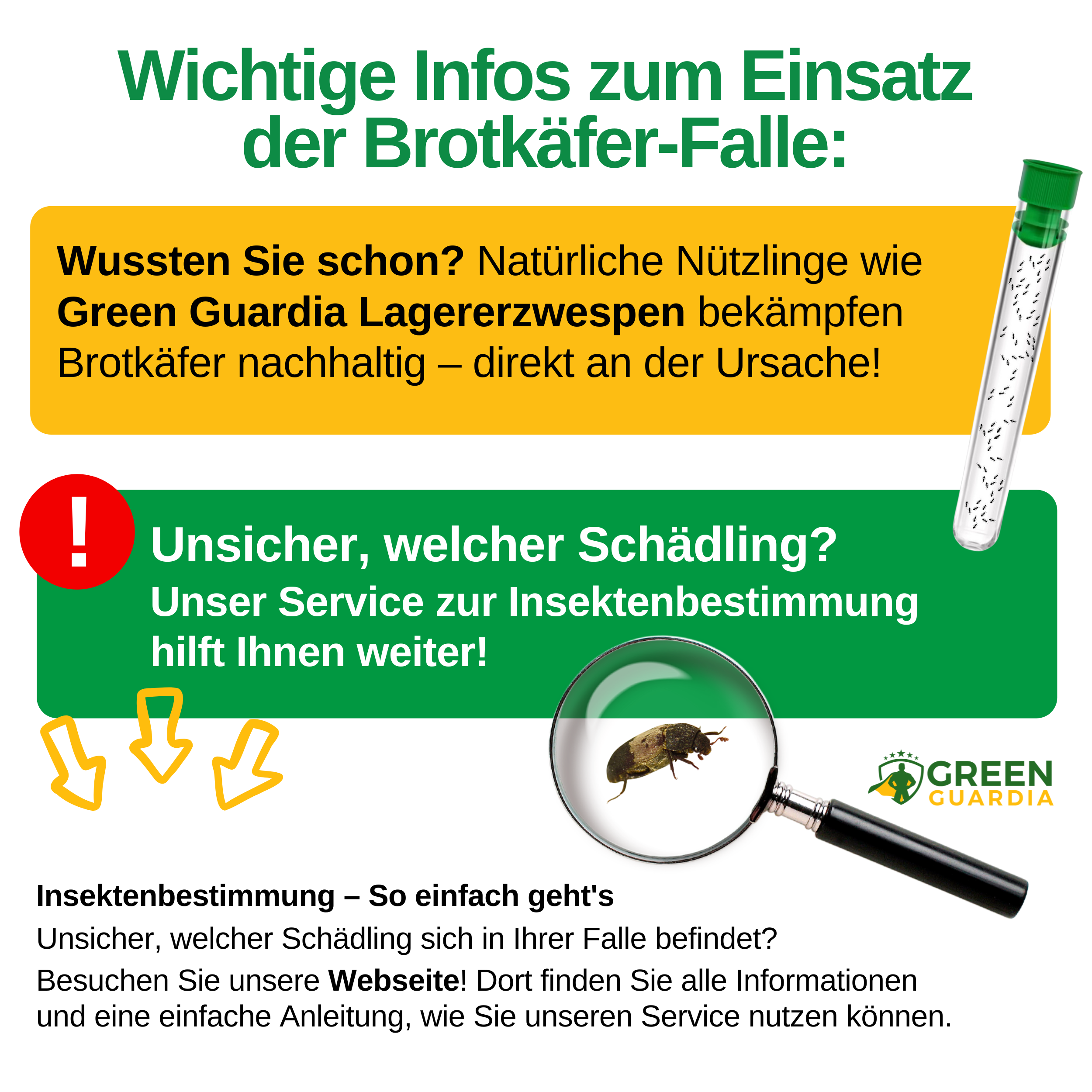 Speckkäfer Falle mit Spezial-Lockstoff