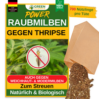 Raubmilben gegen Thripse – Streuware