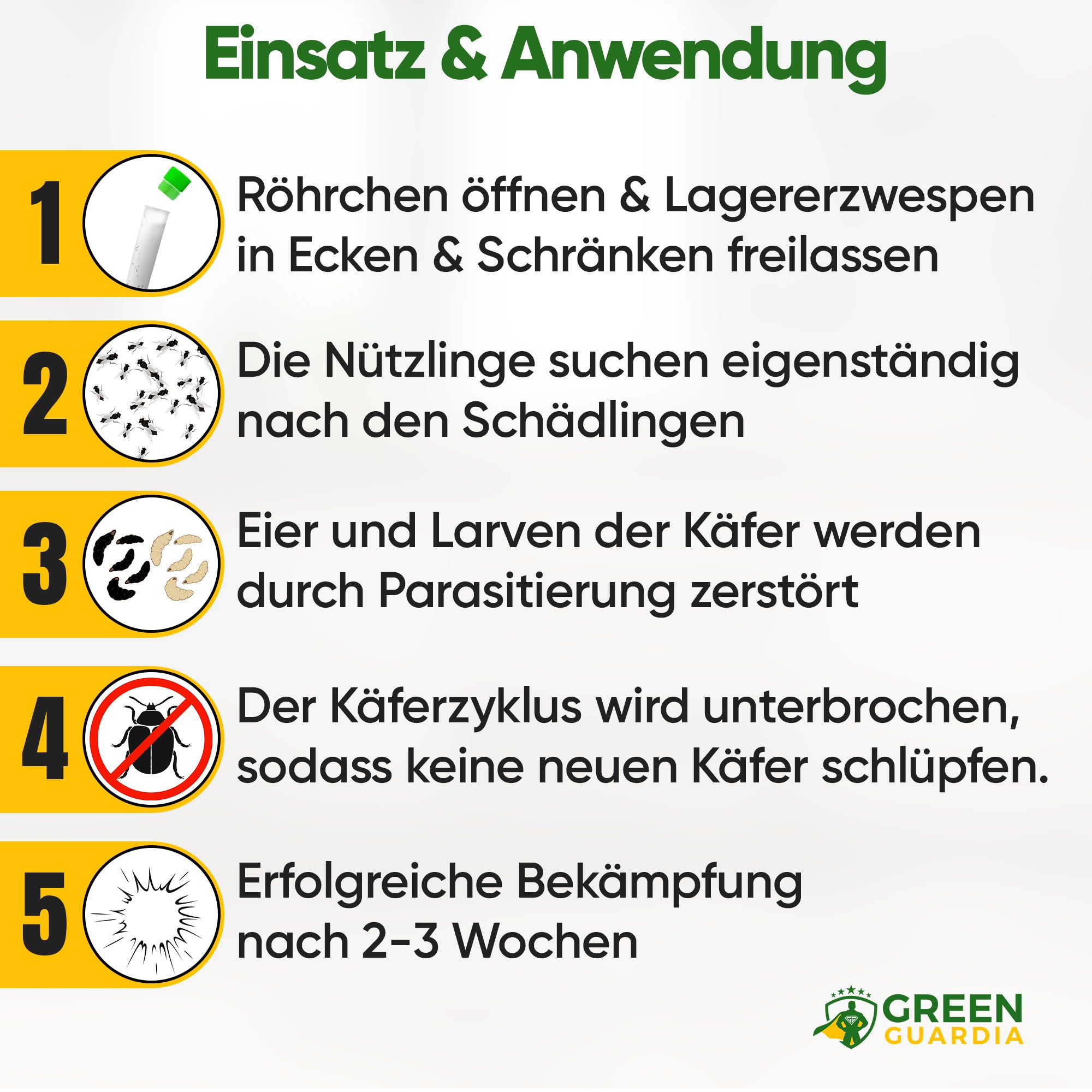Lagererzwespen gegen Brotkäfer, Reiskäfer & Co.