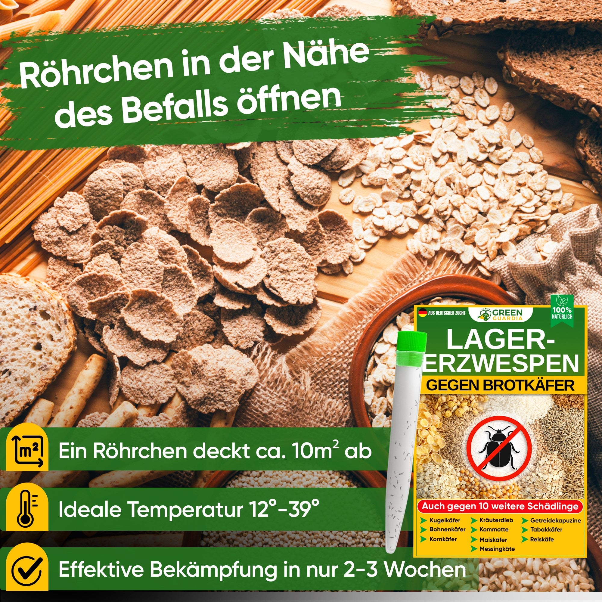 Lagererzwespen gegen Brotkäfer, Reiskäfer & Co.