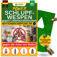 Schlupfwespen gegen Lebensmittelmotten