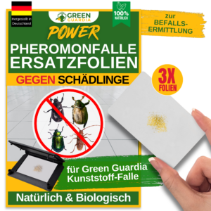 Pheromon-Lockstoff Ersatzfolien für Klebefallen (3x Stück)